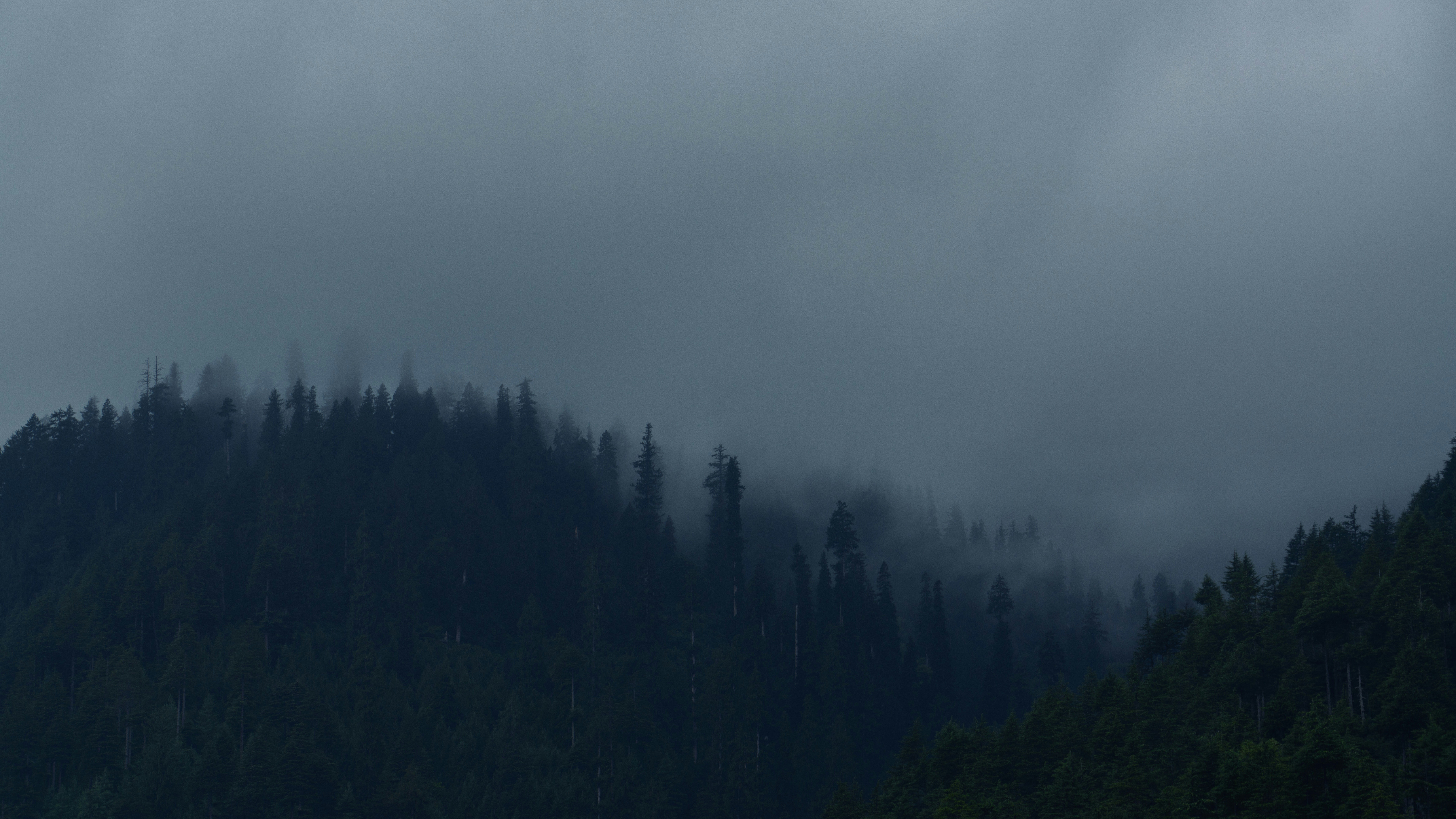 Photo by lensofninad