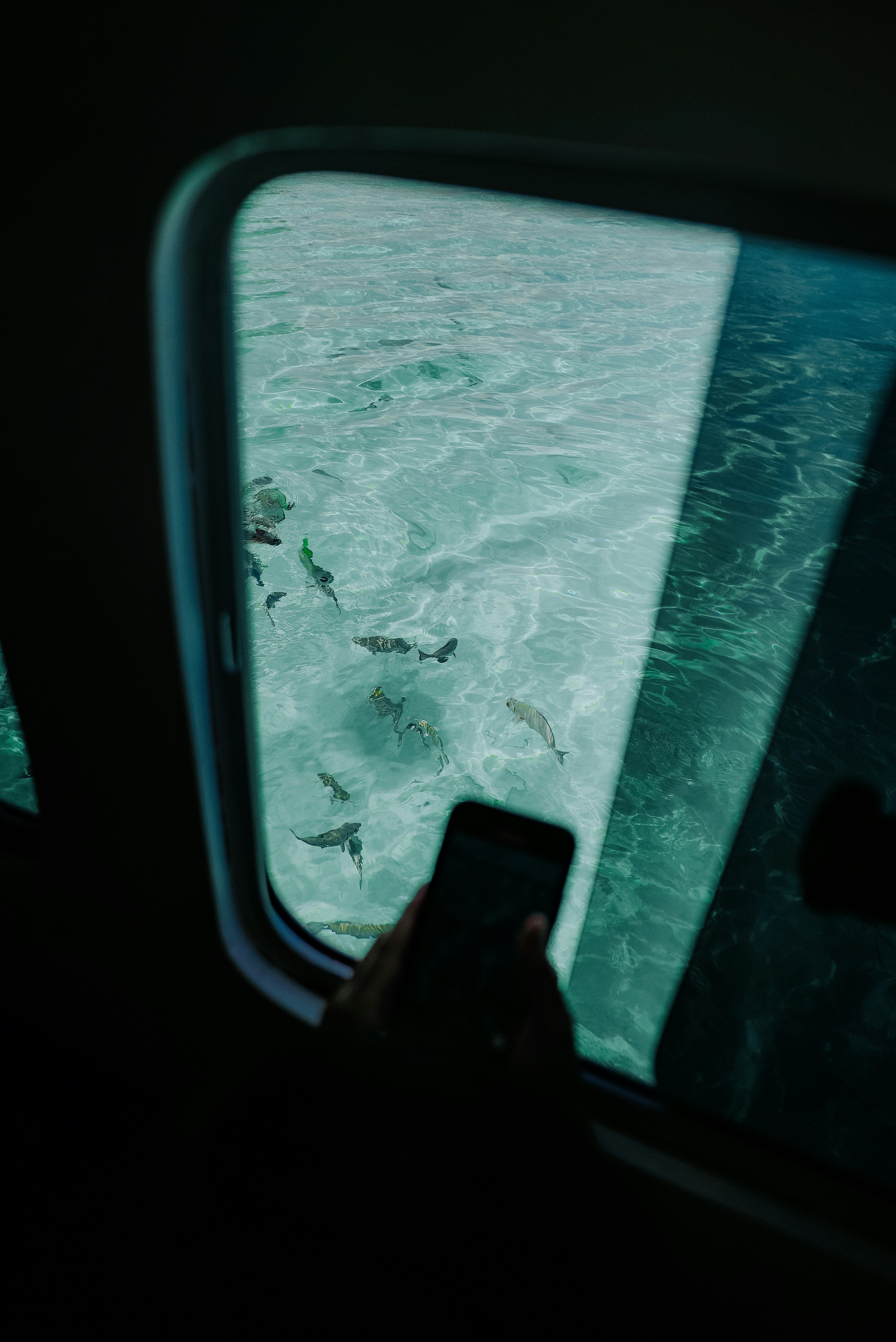 Photo by baslightyearrr