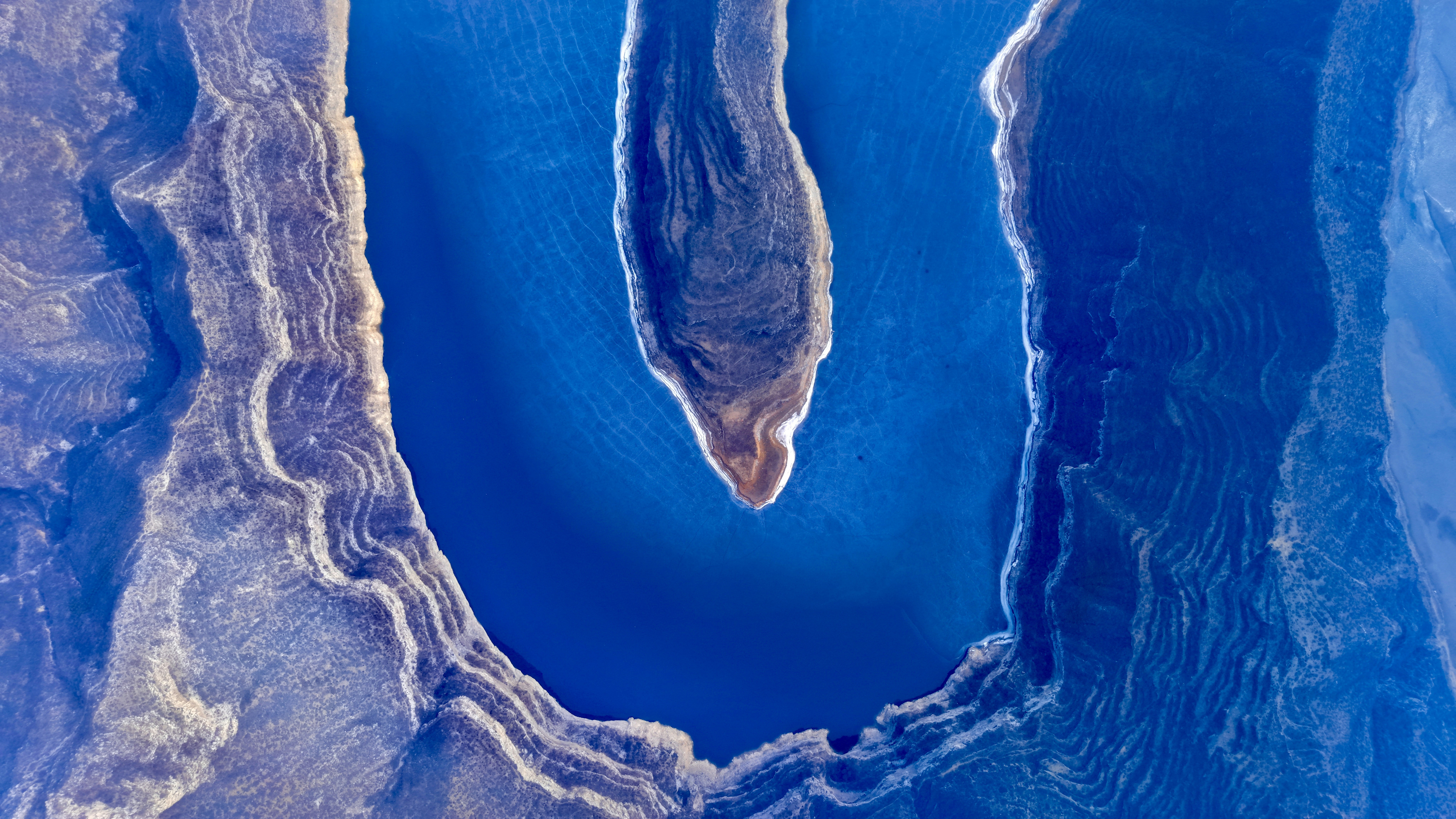 Current placeholder for A microscopic view of Mycoplasma genitalium.