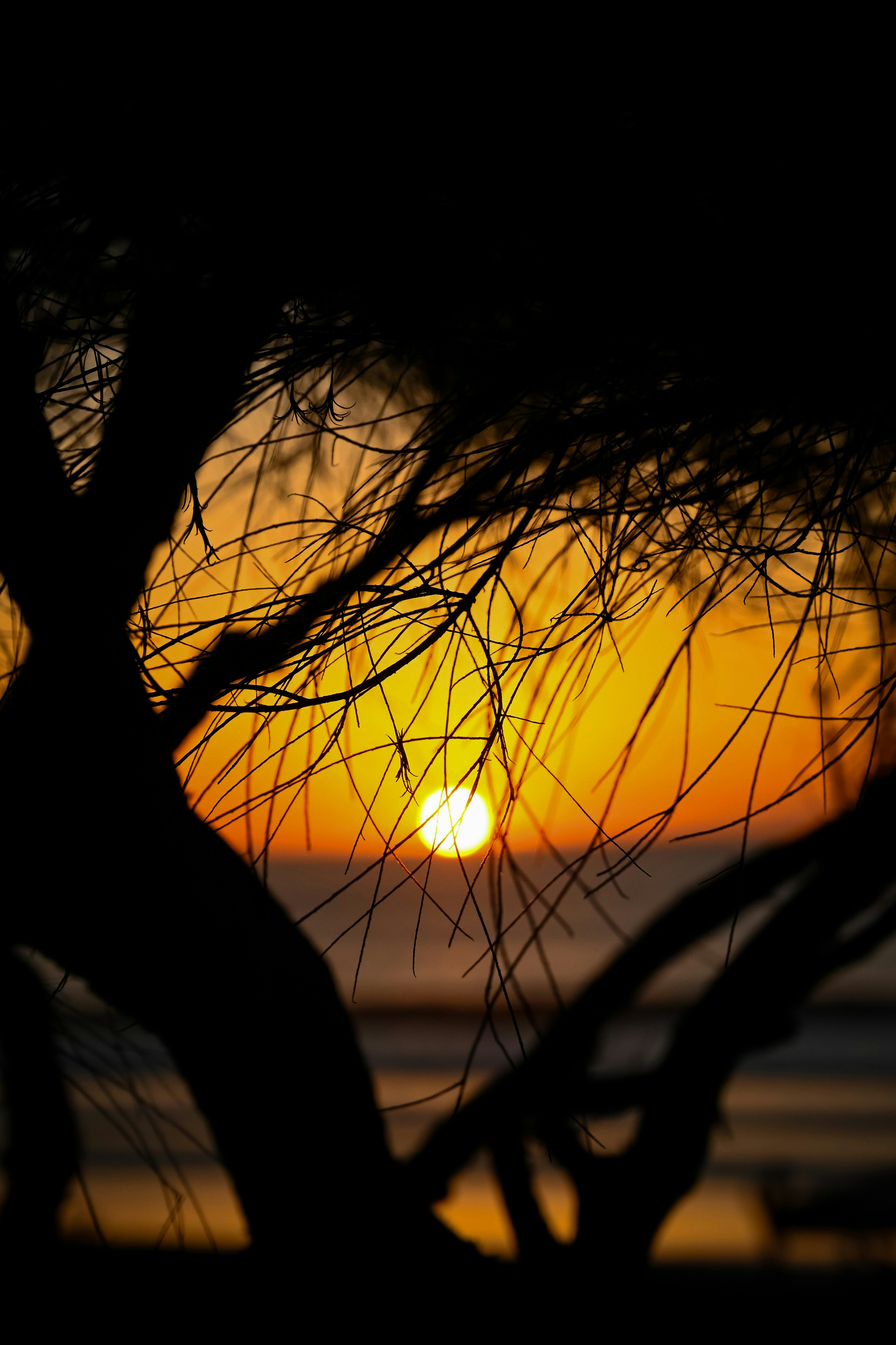 Photo by chrismags0520