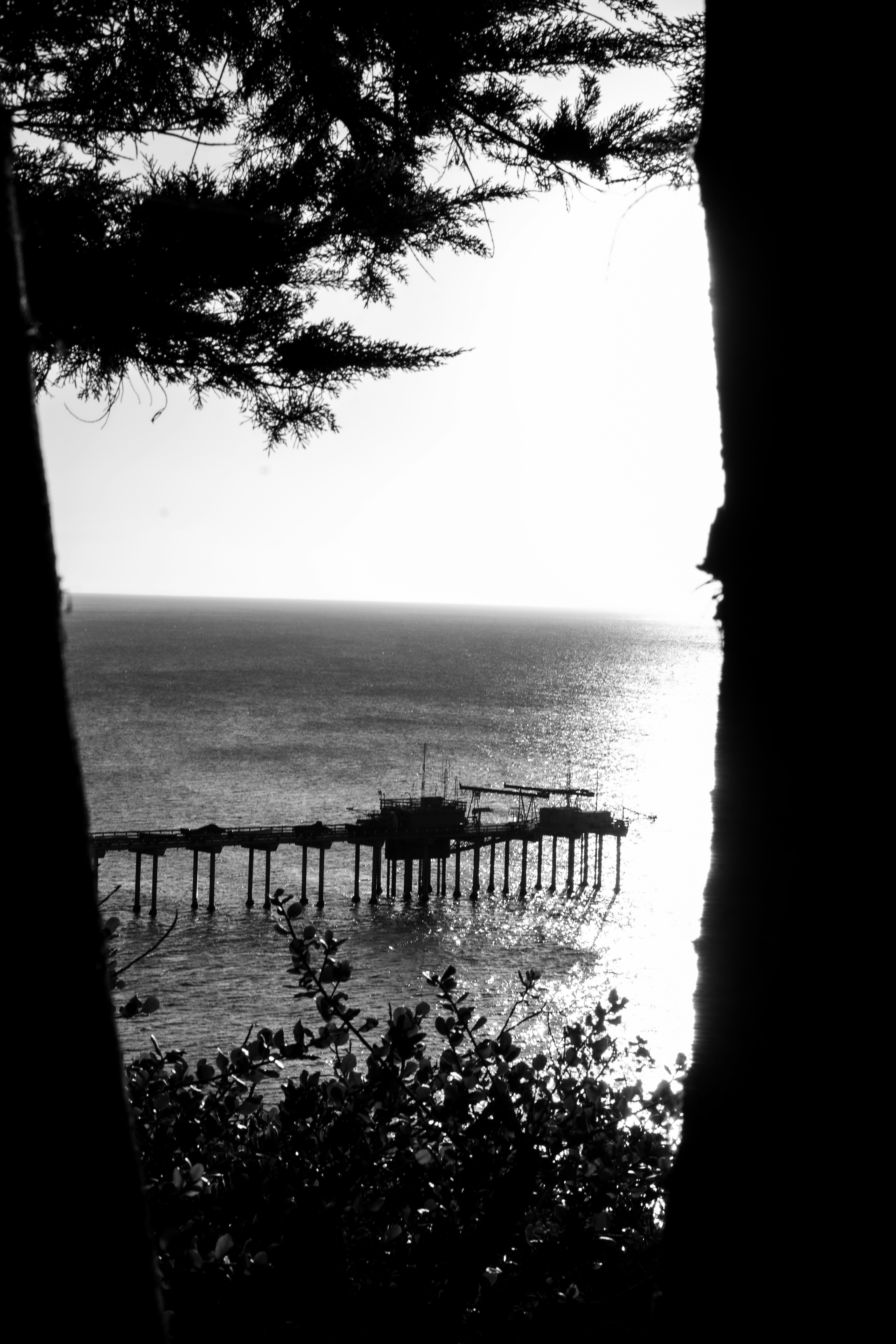 Photo by chrismags0520