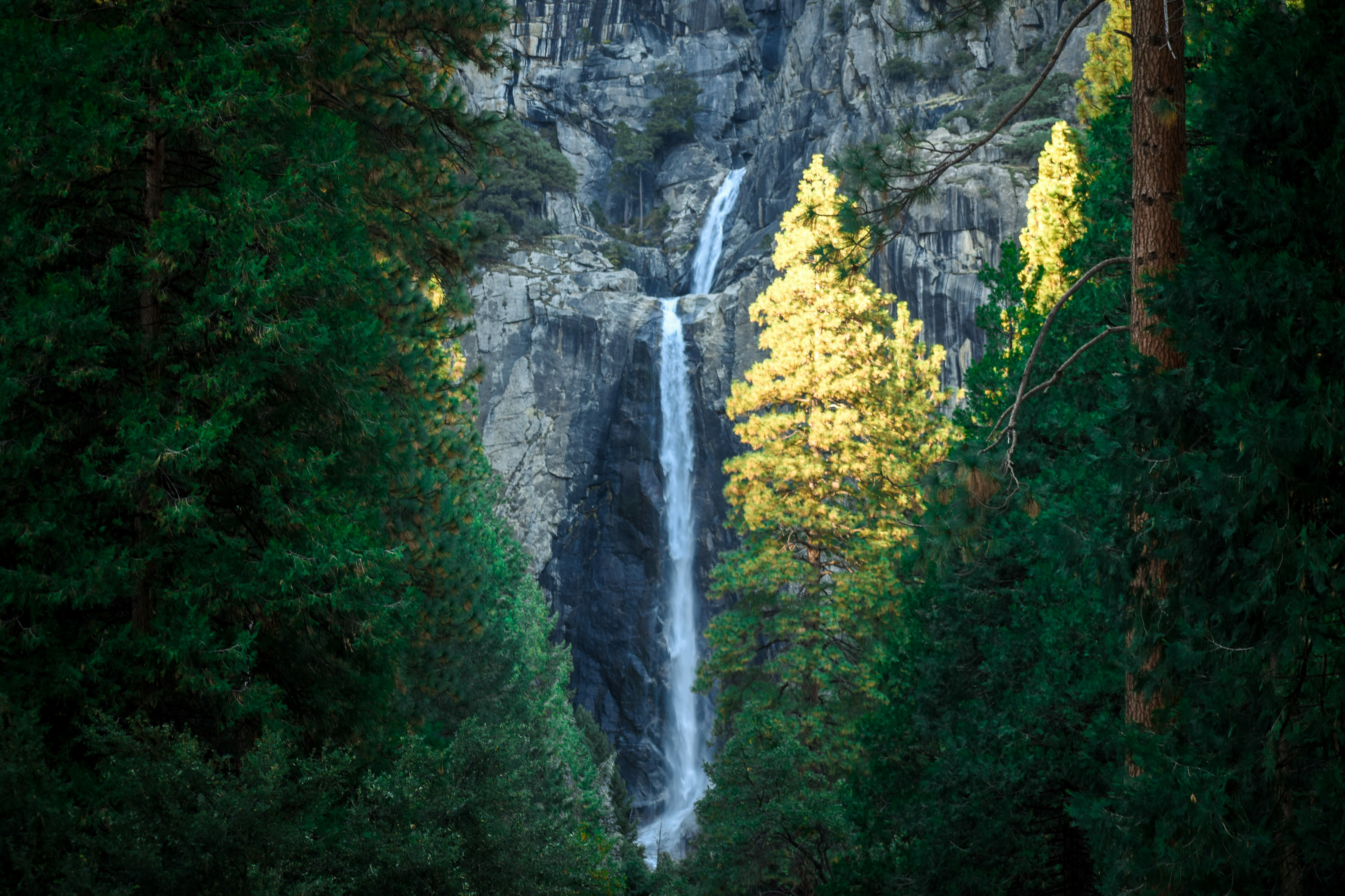 Photo by chrismags0520