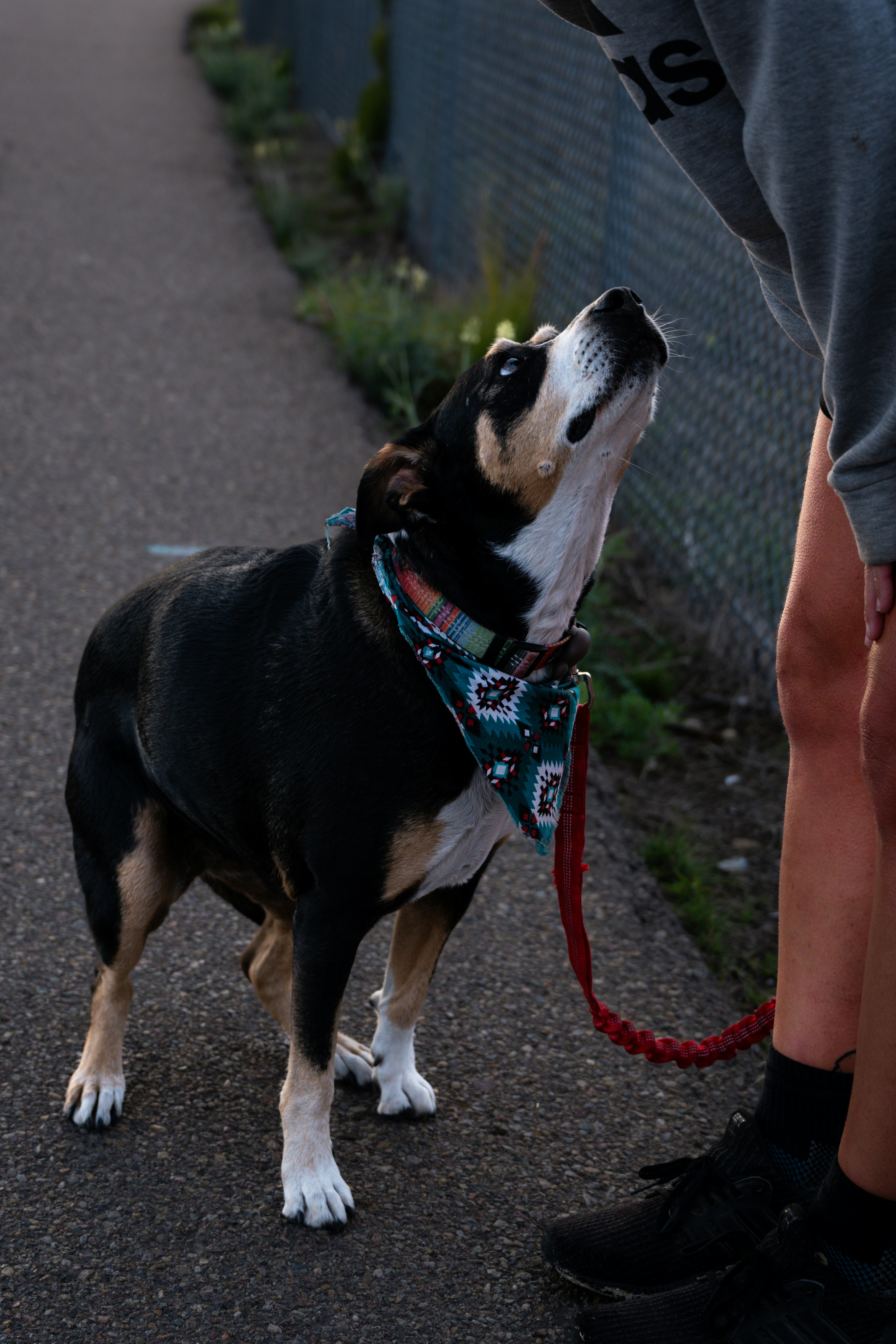 Photo by chrismags0520