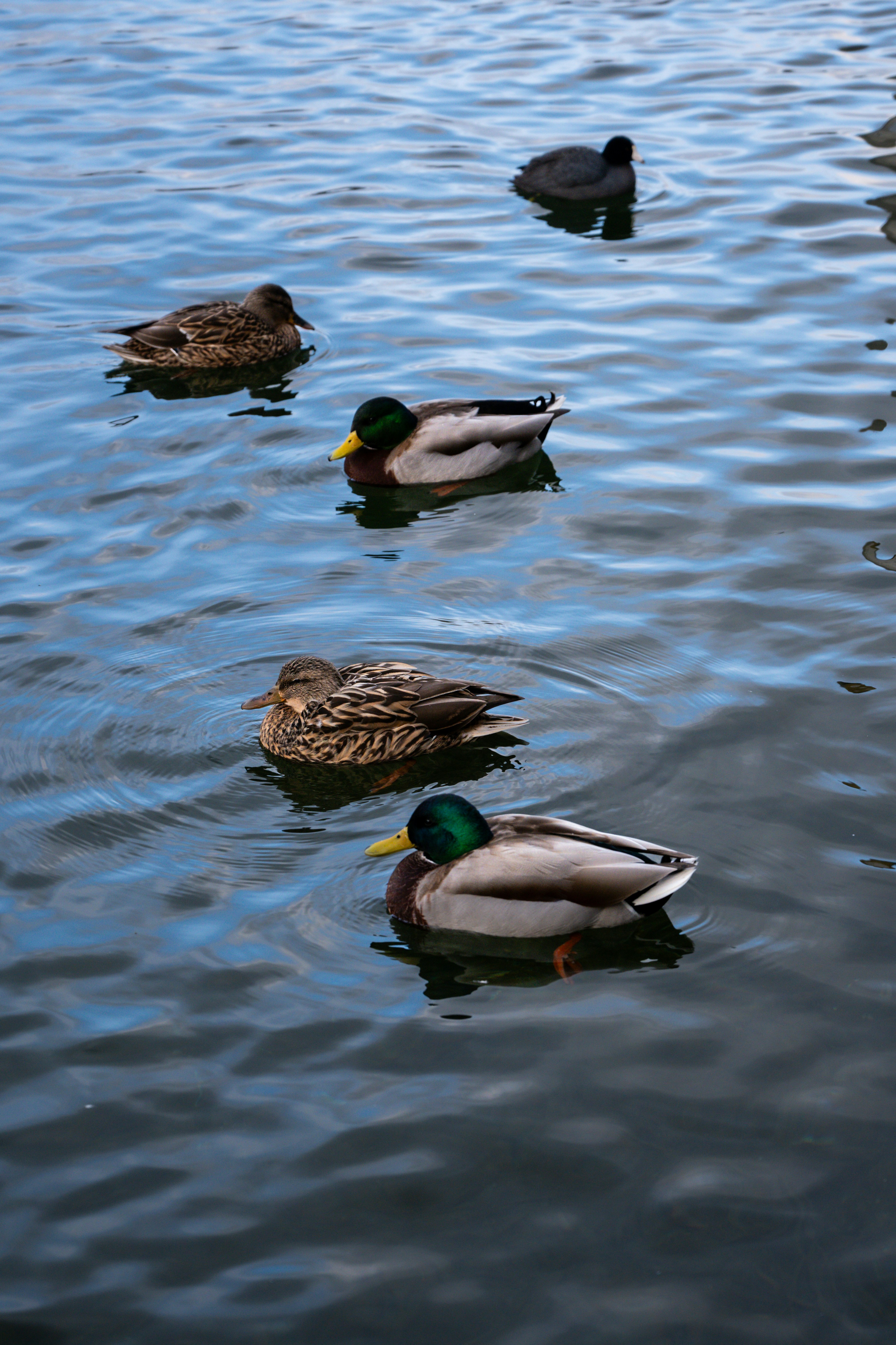 Photo by chrismags0520