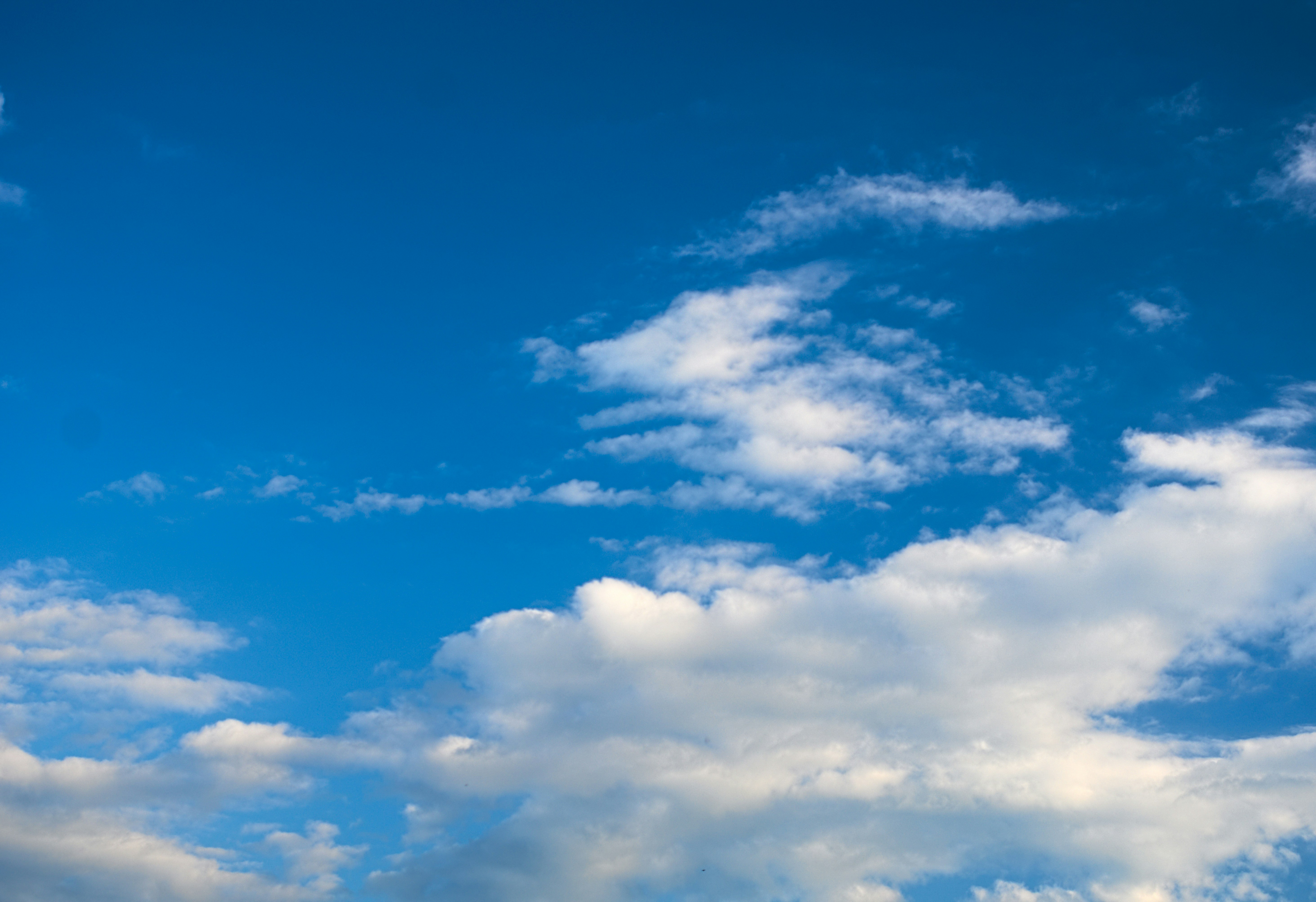 Blue sky filled with white clouds.