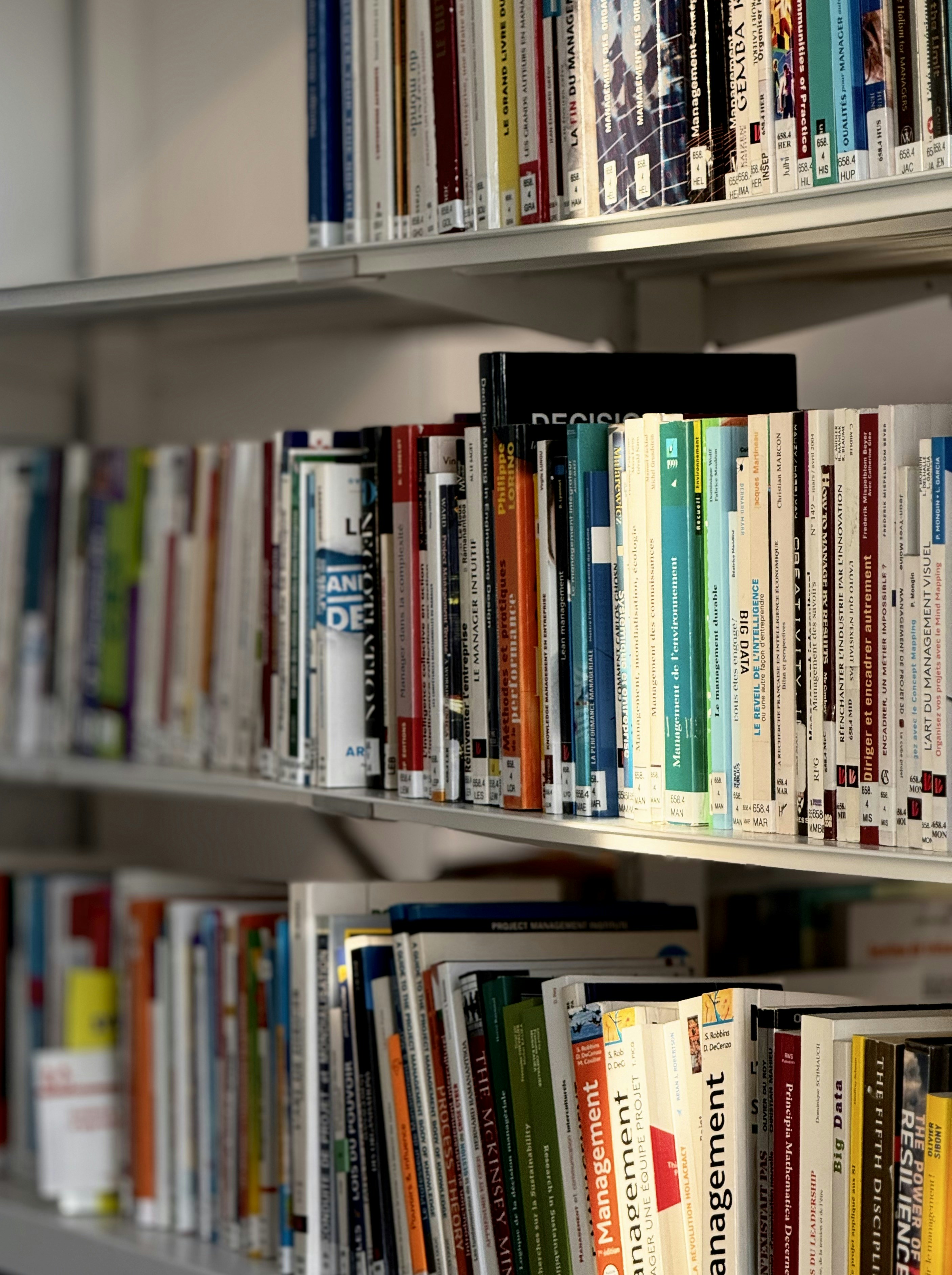 Photo by parsa_farjam