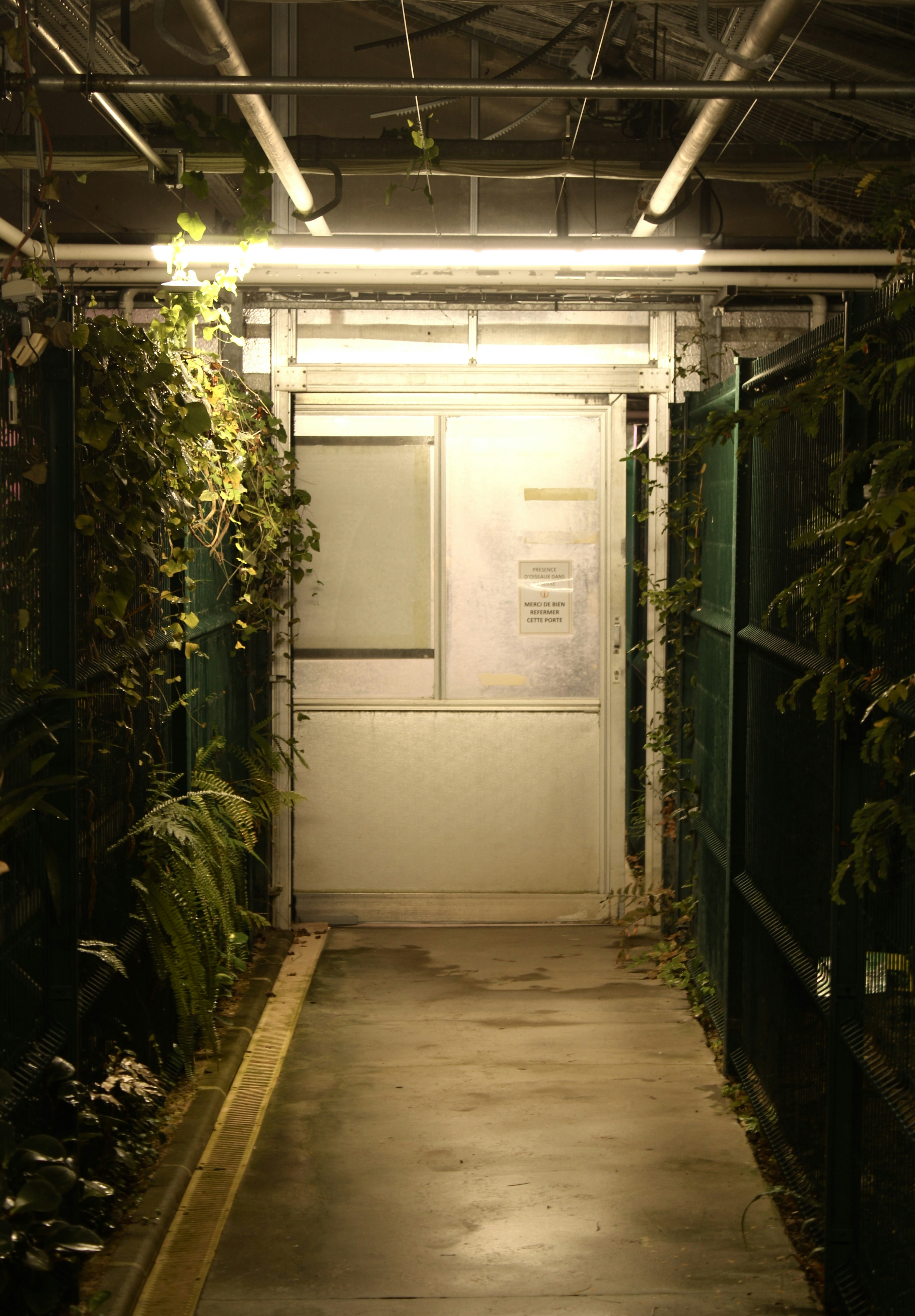 Greenhouse doorway illuminated by overhead lights.