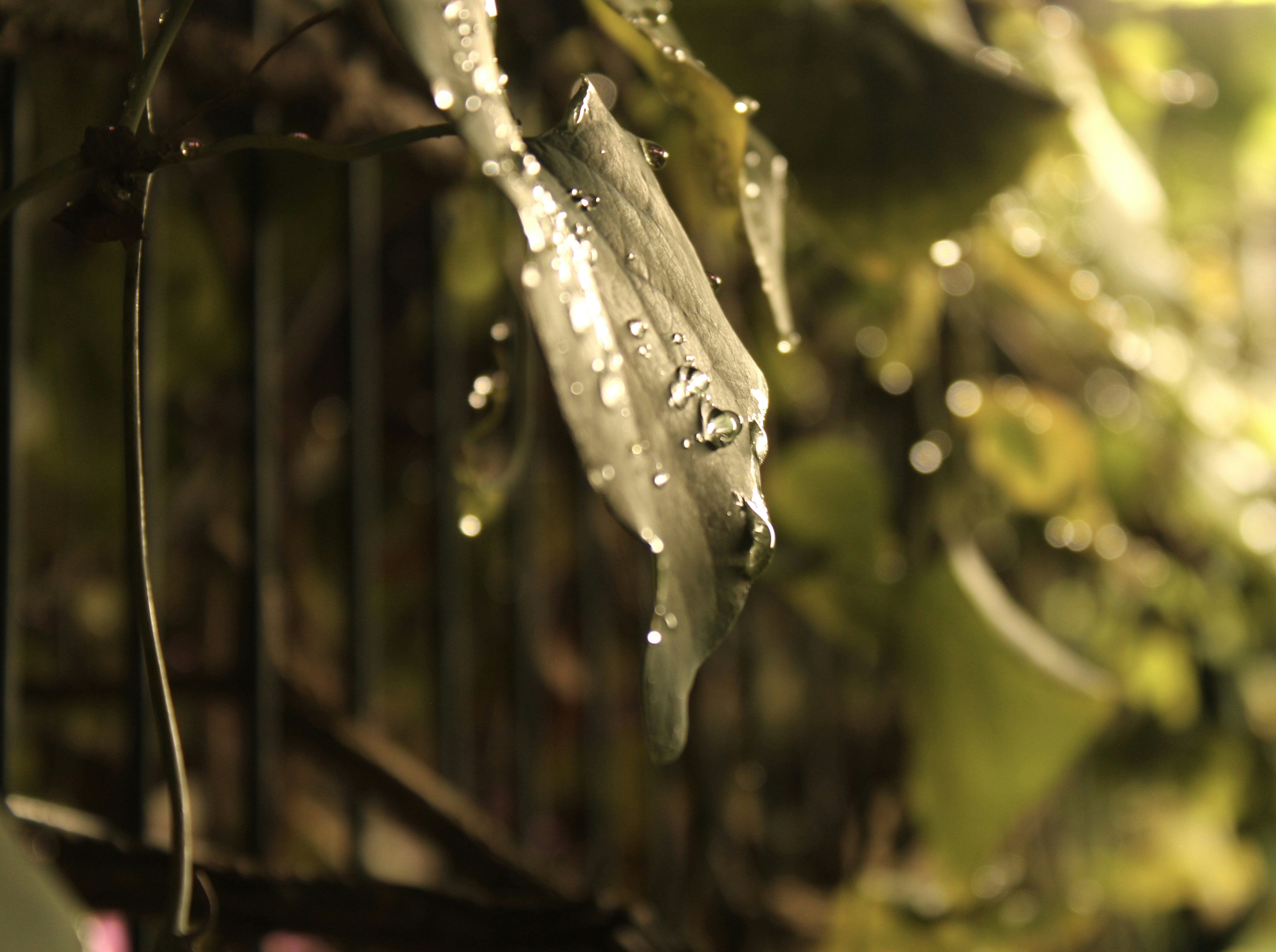 Photo by parsa_farjam