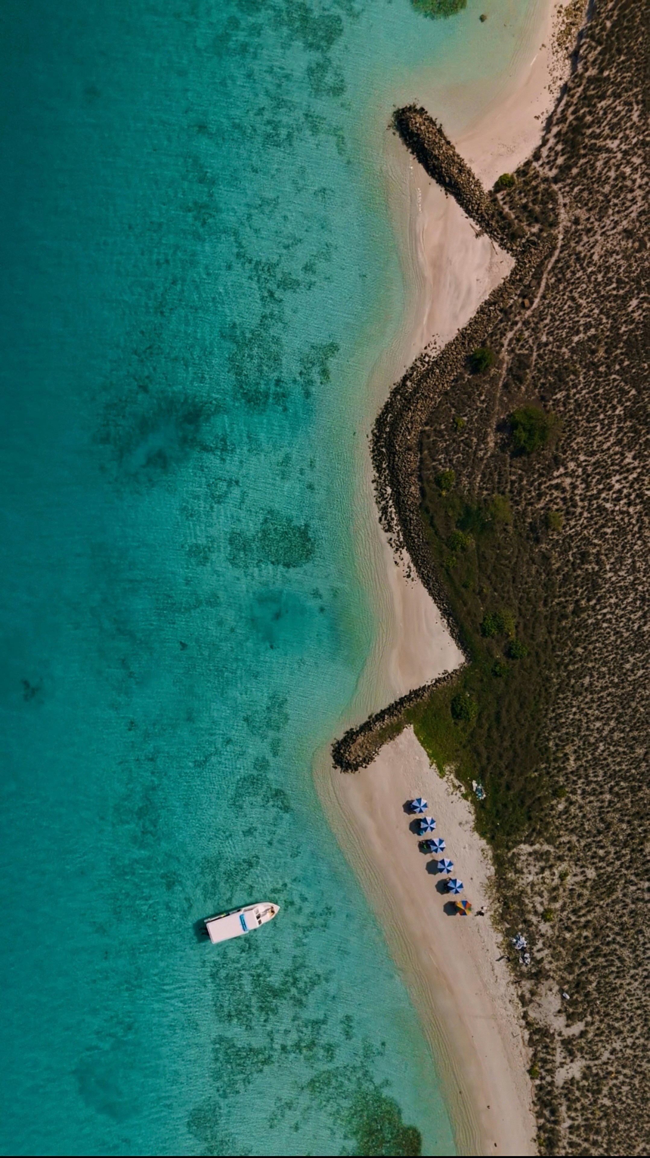 Photo by monkeydmykie