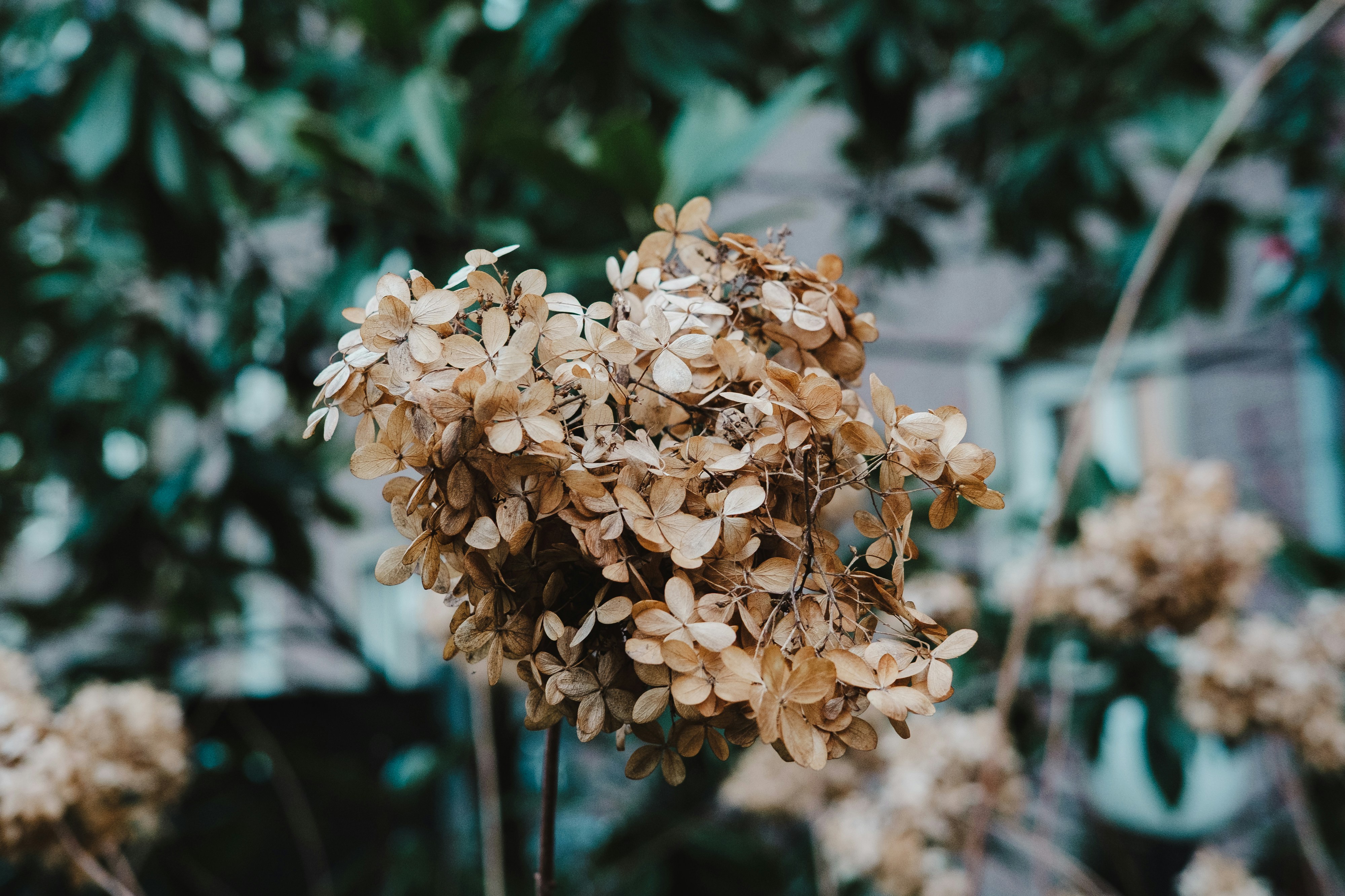 Photo by markuswinkler