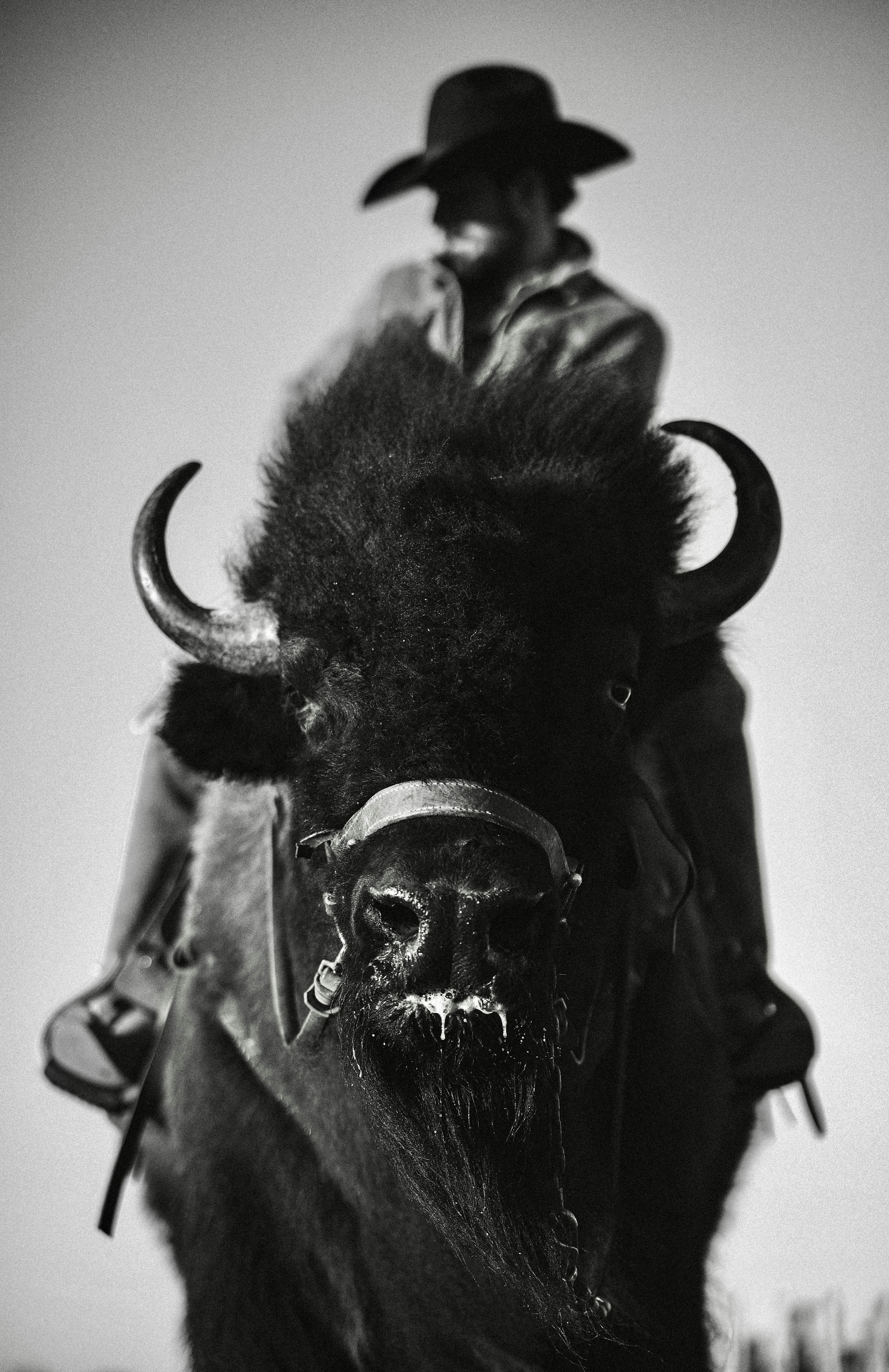 Cowboy rides a bison with a skull face.