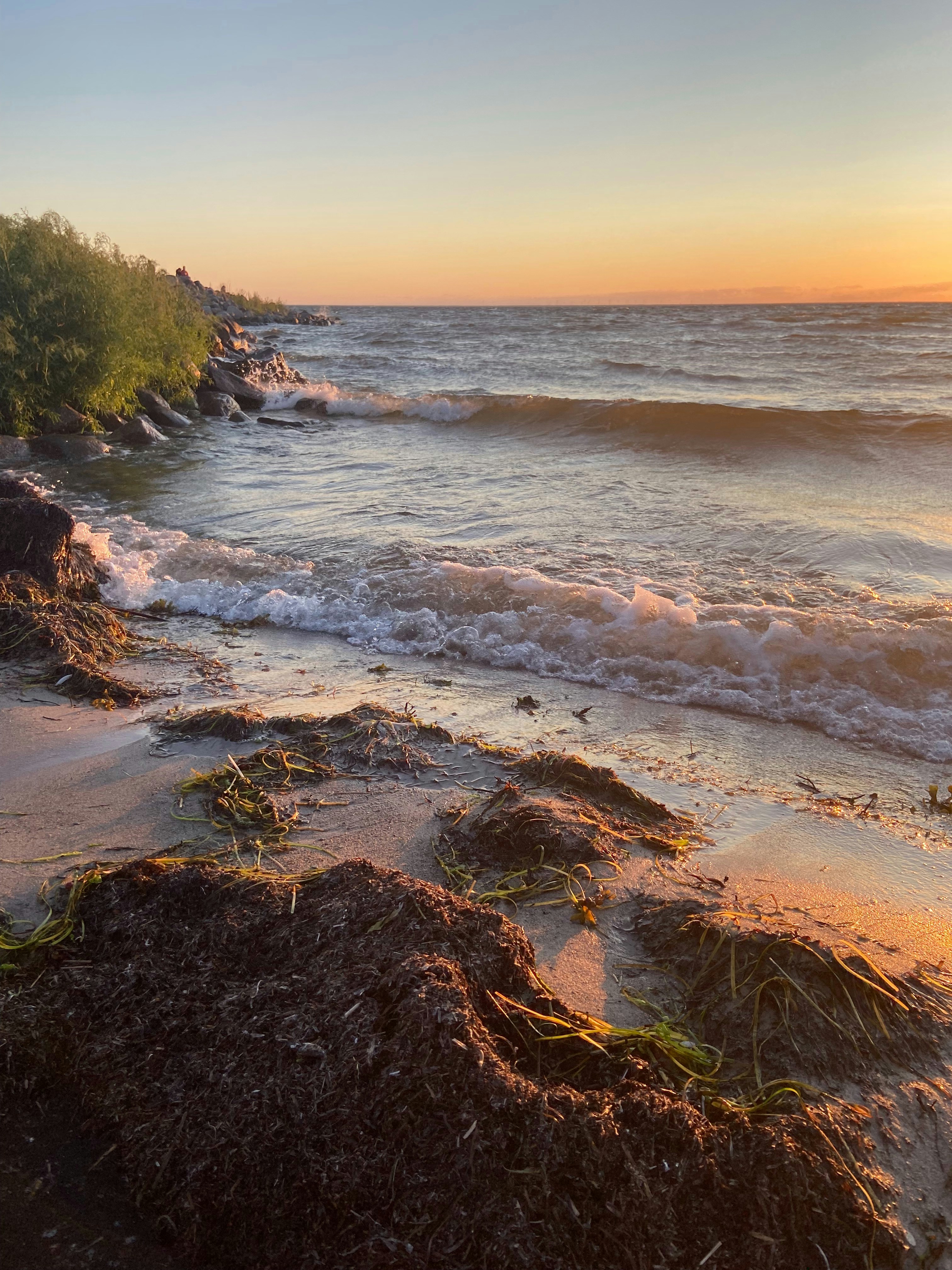 Photo by william2057