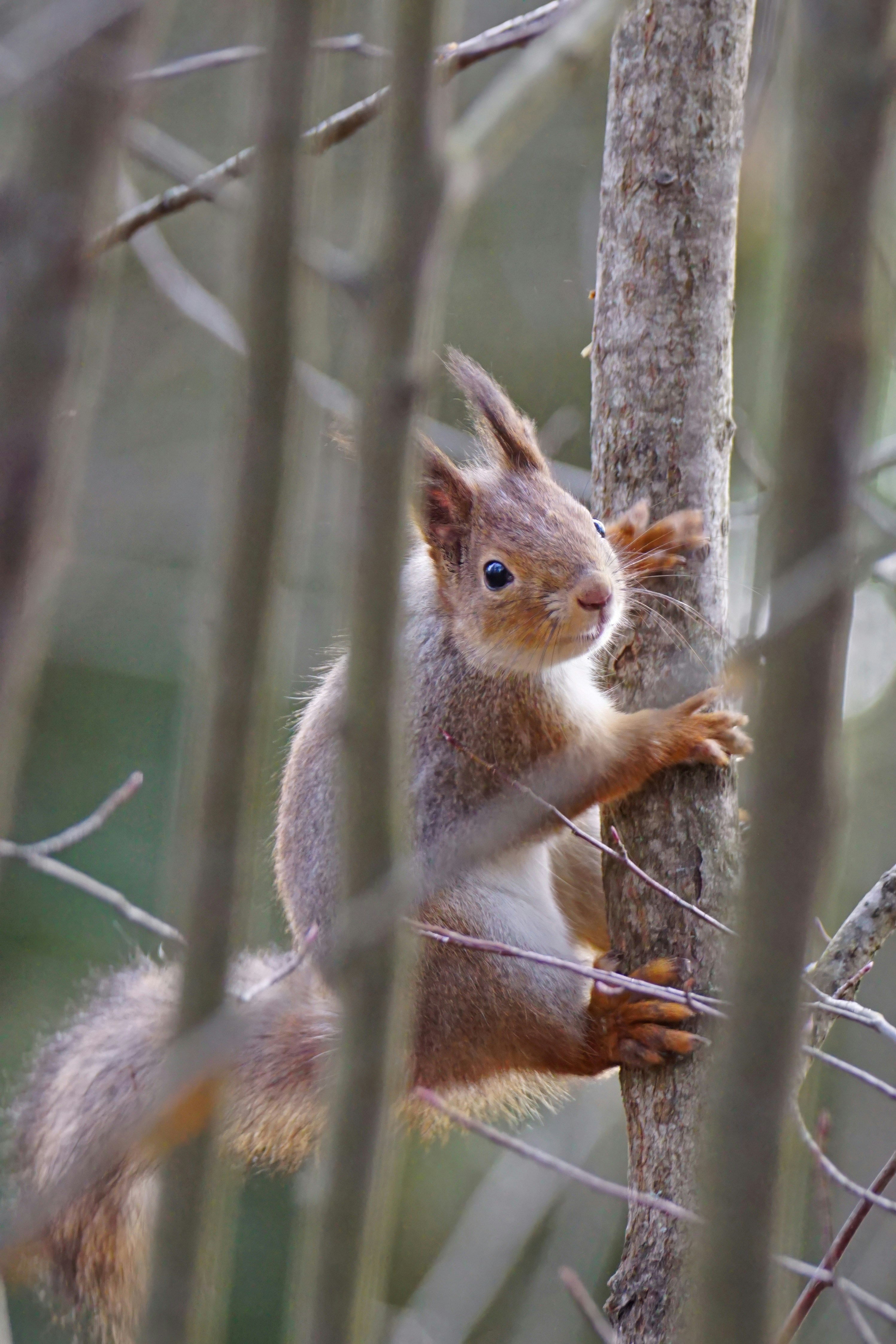 Photo by marttisalmi