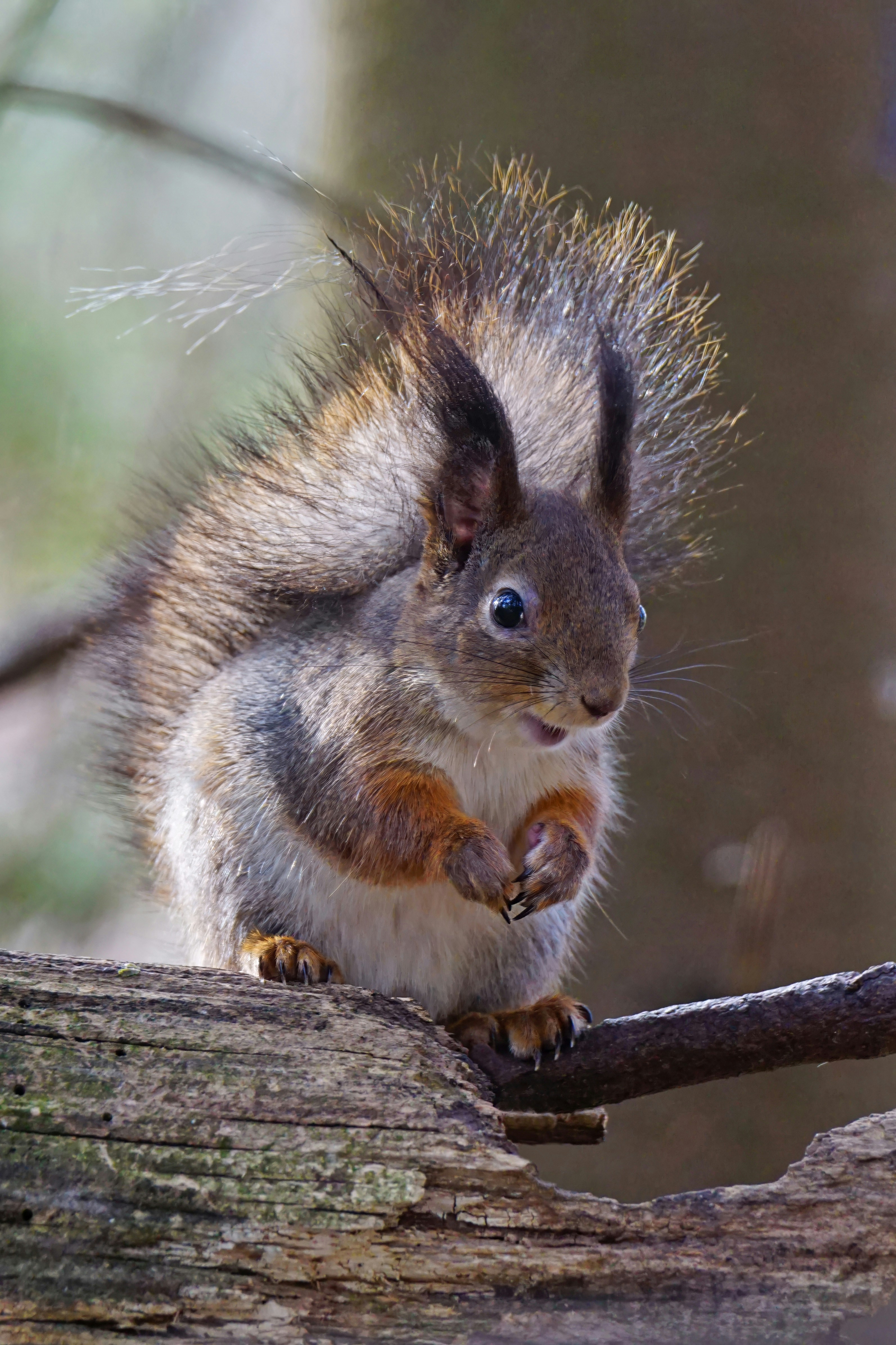 Photo by marttisalmi