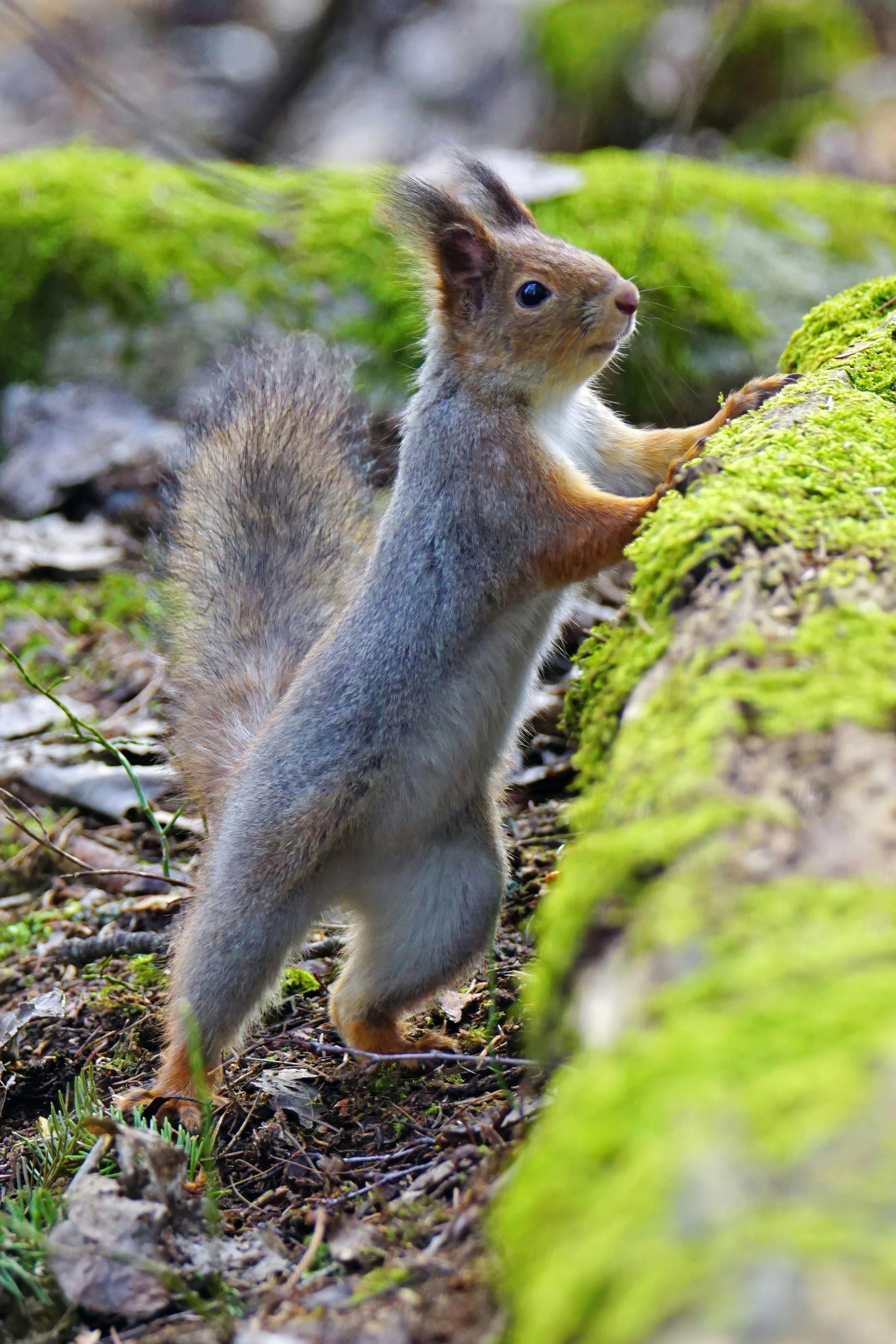 Photo by marttisalmi