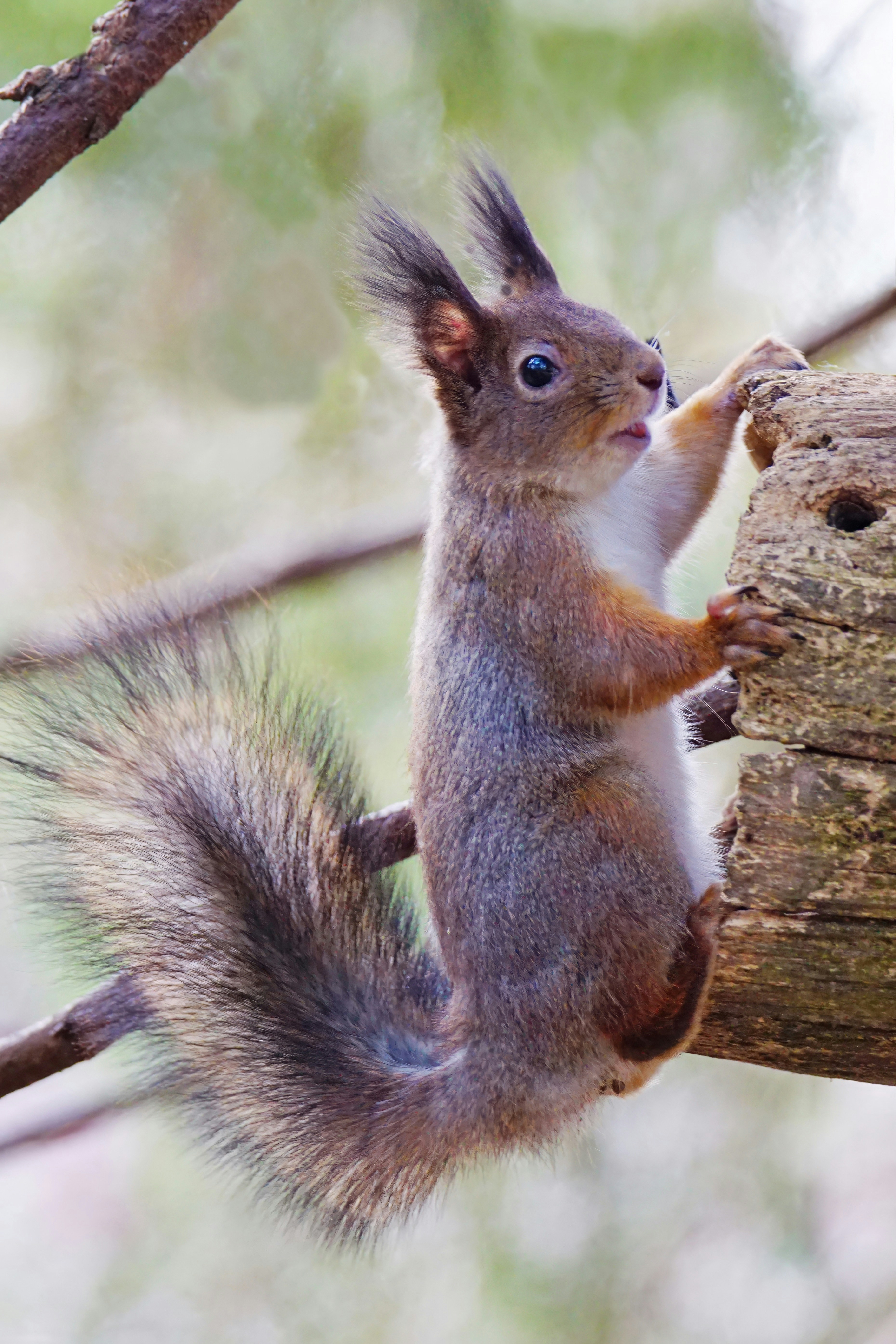 Photo by marttisalmi