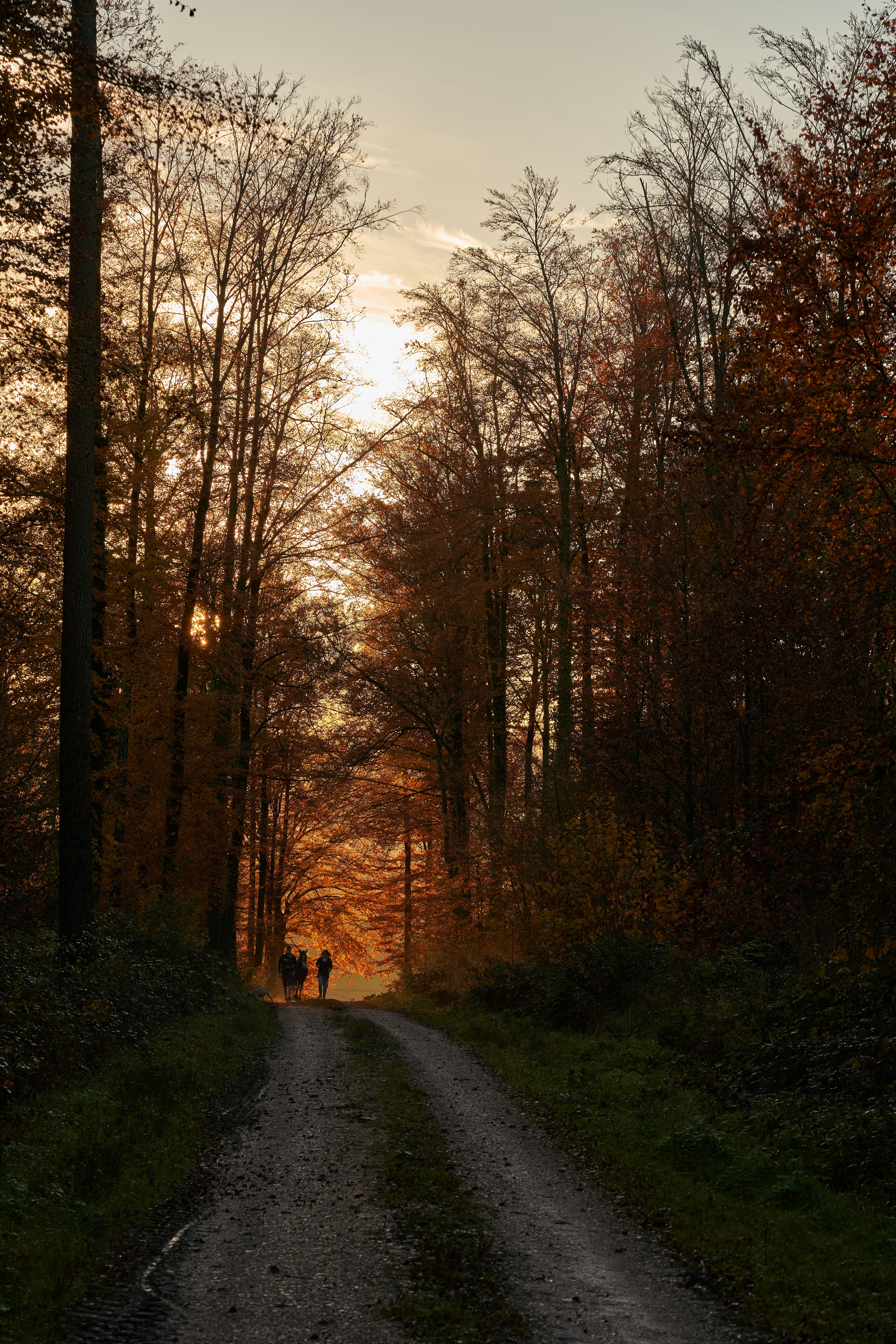 Photo by wolfgang_hasselmann