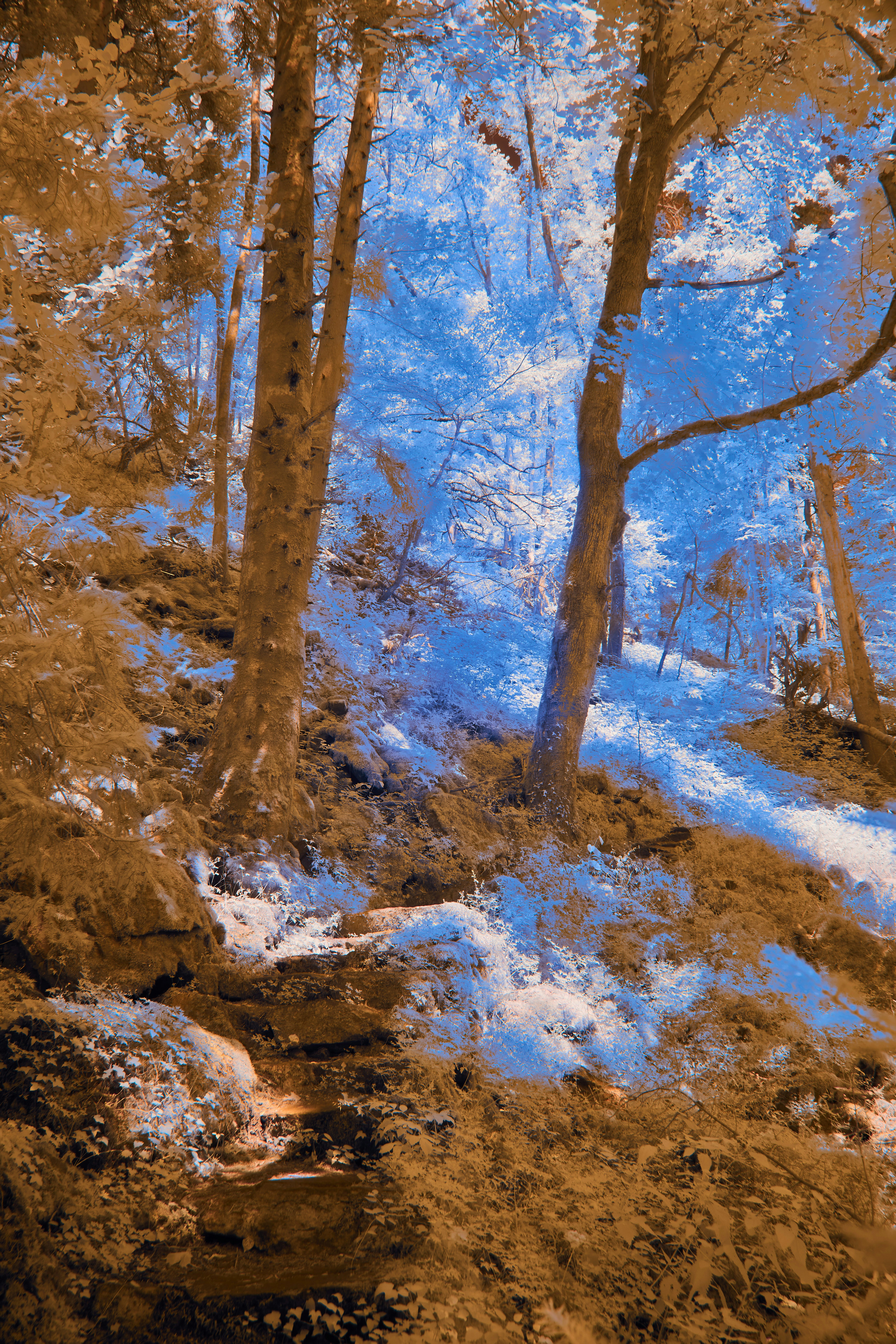 Photo by wolfgang_hasselmann