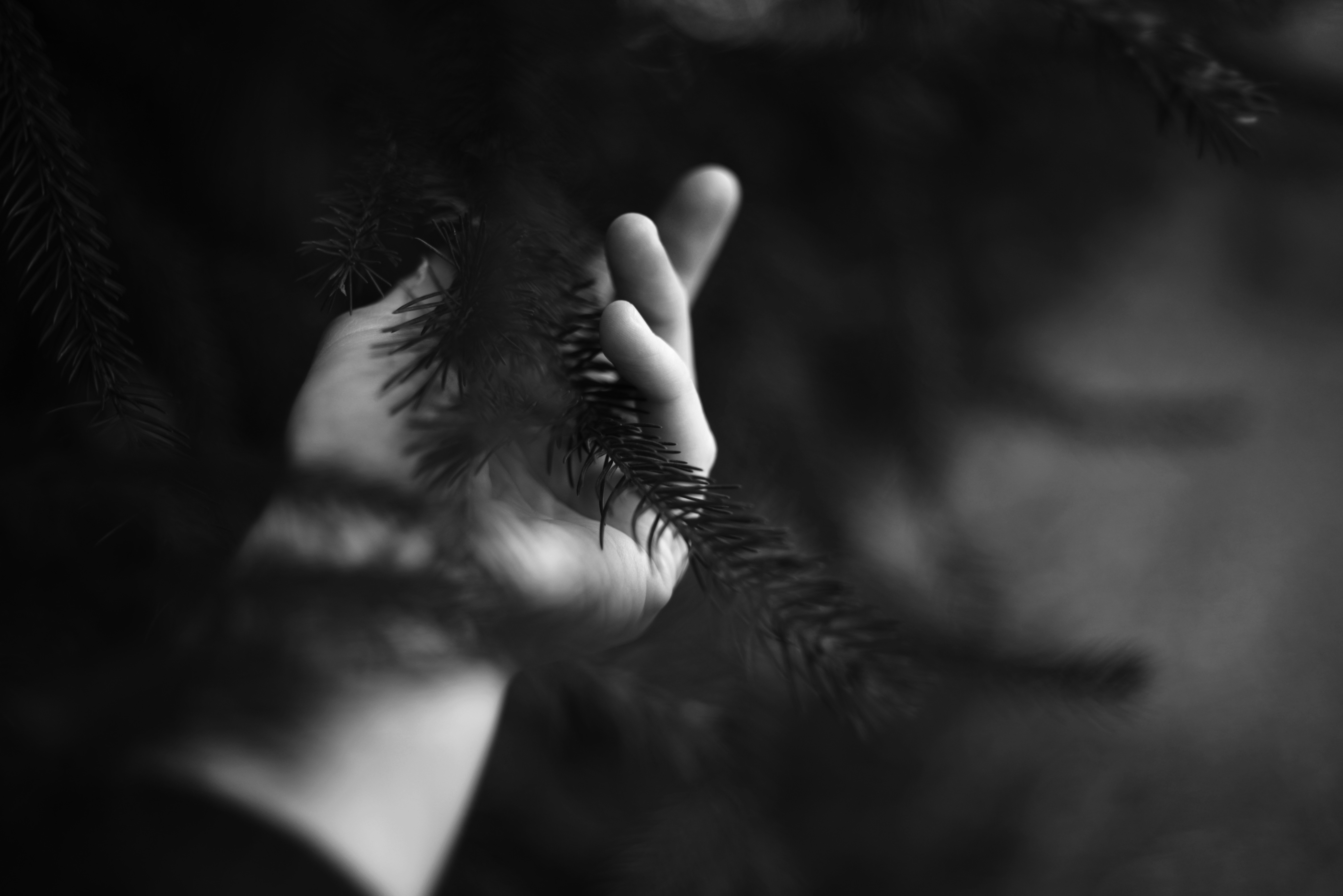 Photo by cherstve_pechivo