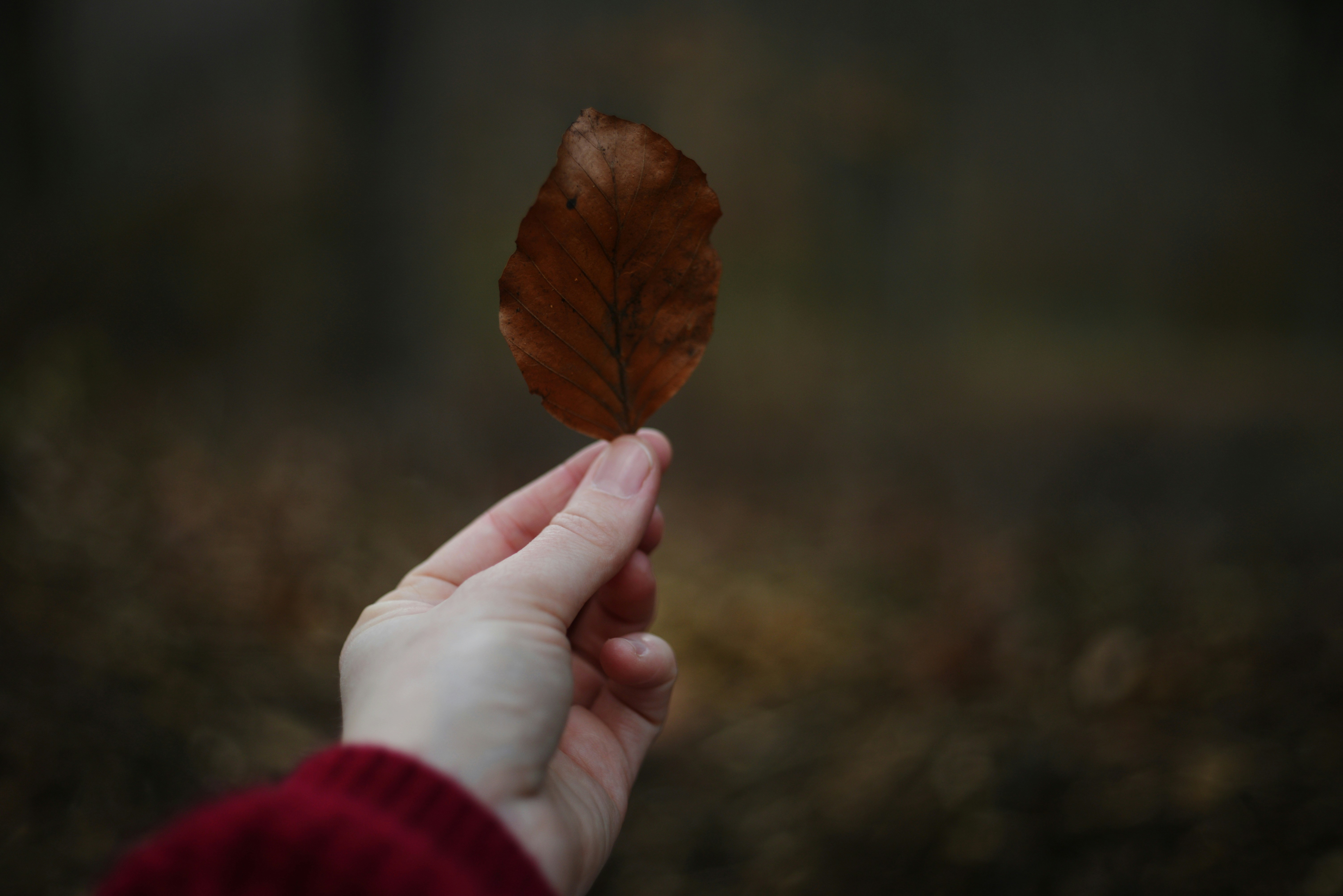 Photo by cherstve_pechivo