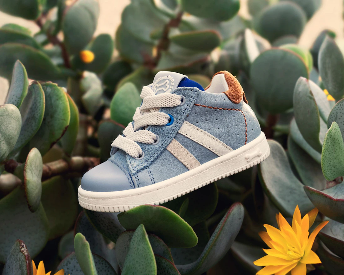 Small blue toddler sneaker nestled among green succulent leaves