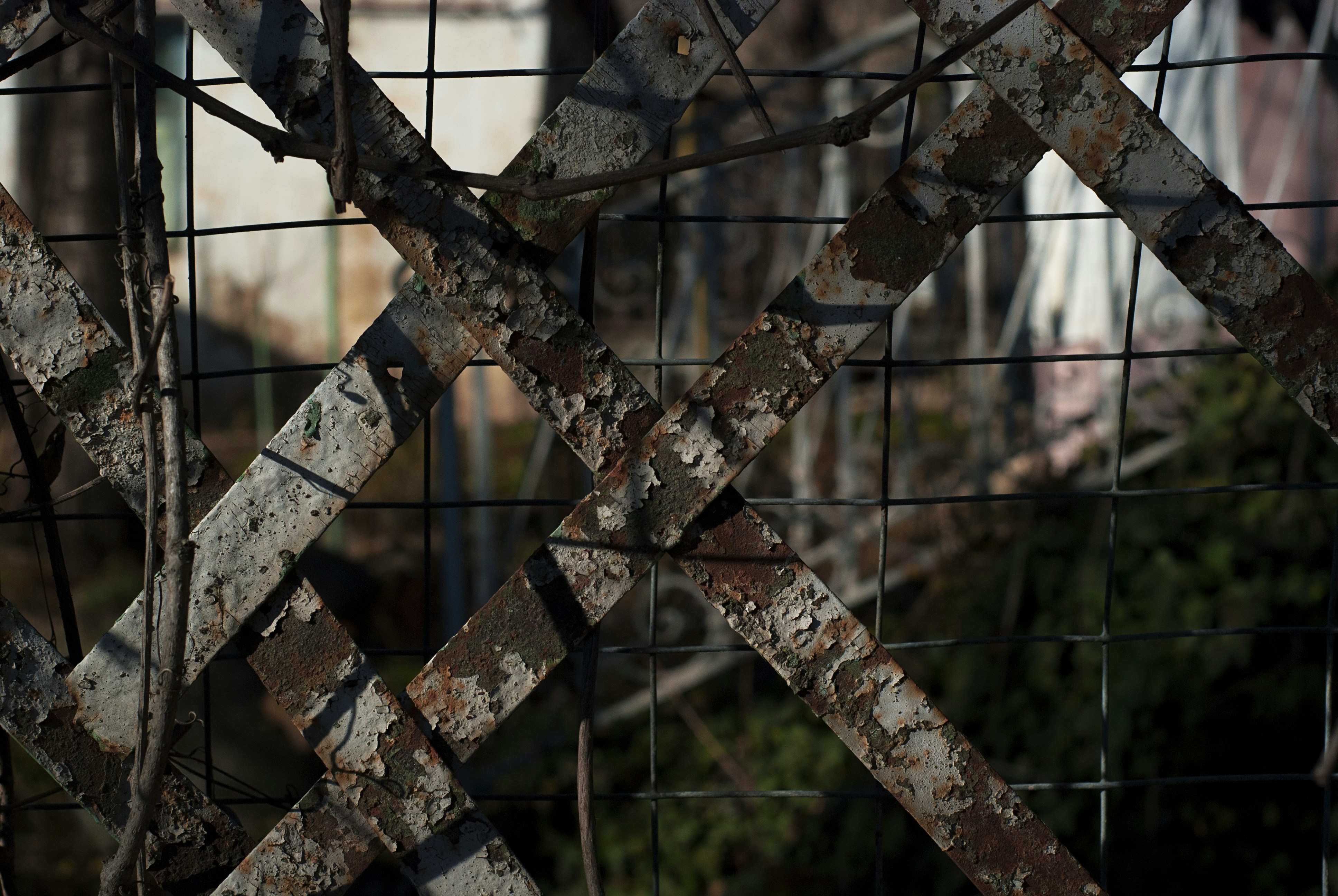 Photo by kovalskihelga