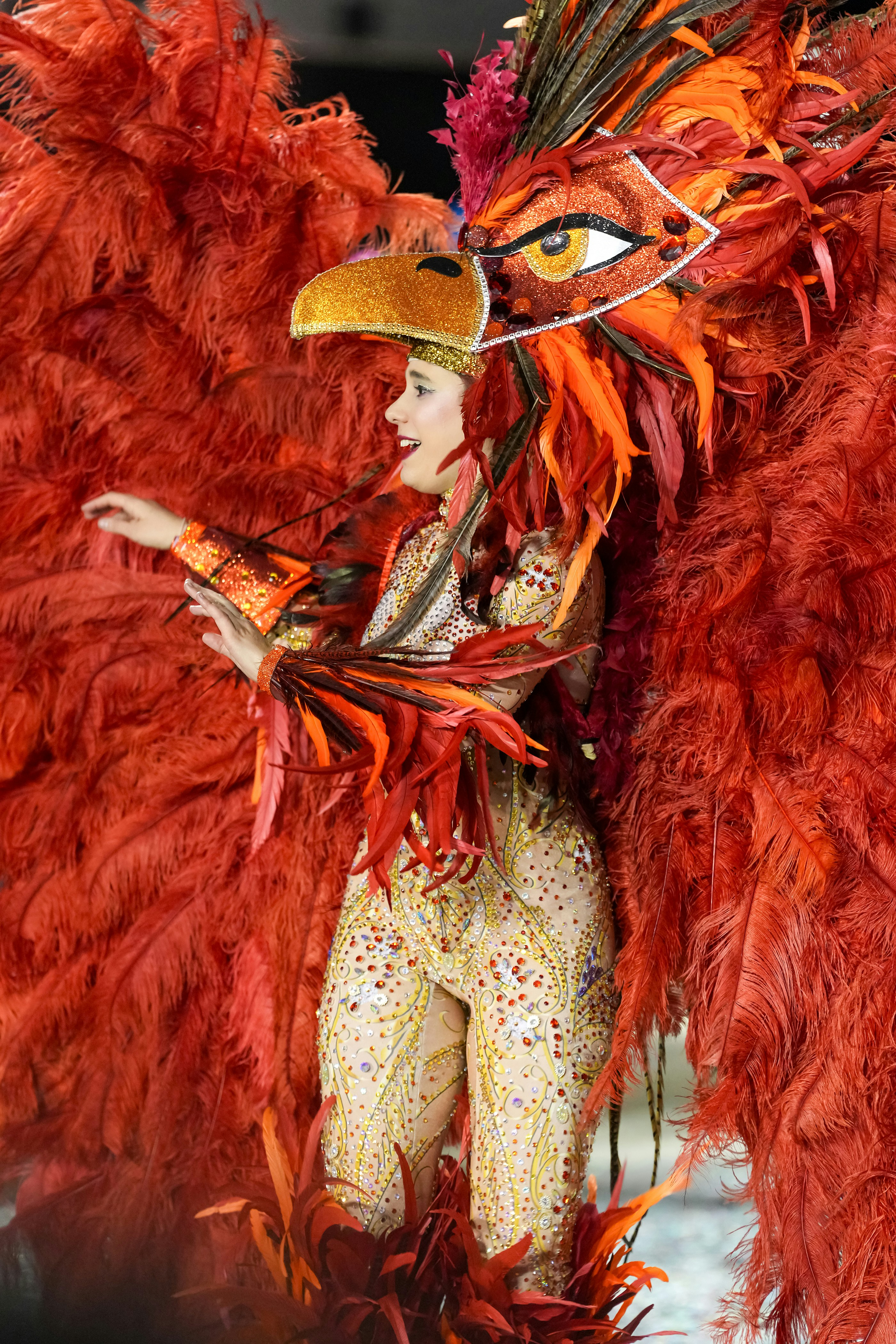 woman in a vibrant phoenix costume