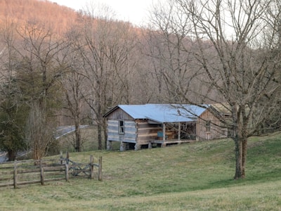 A rustic cabin sits in a clearing.