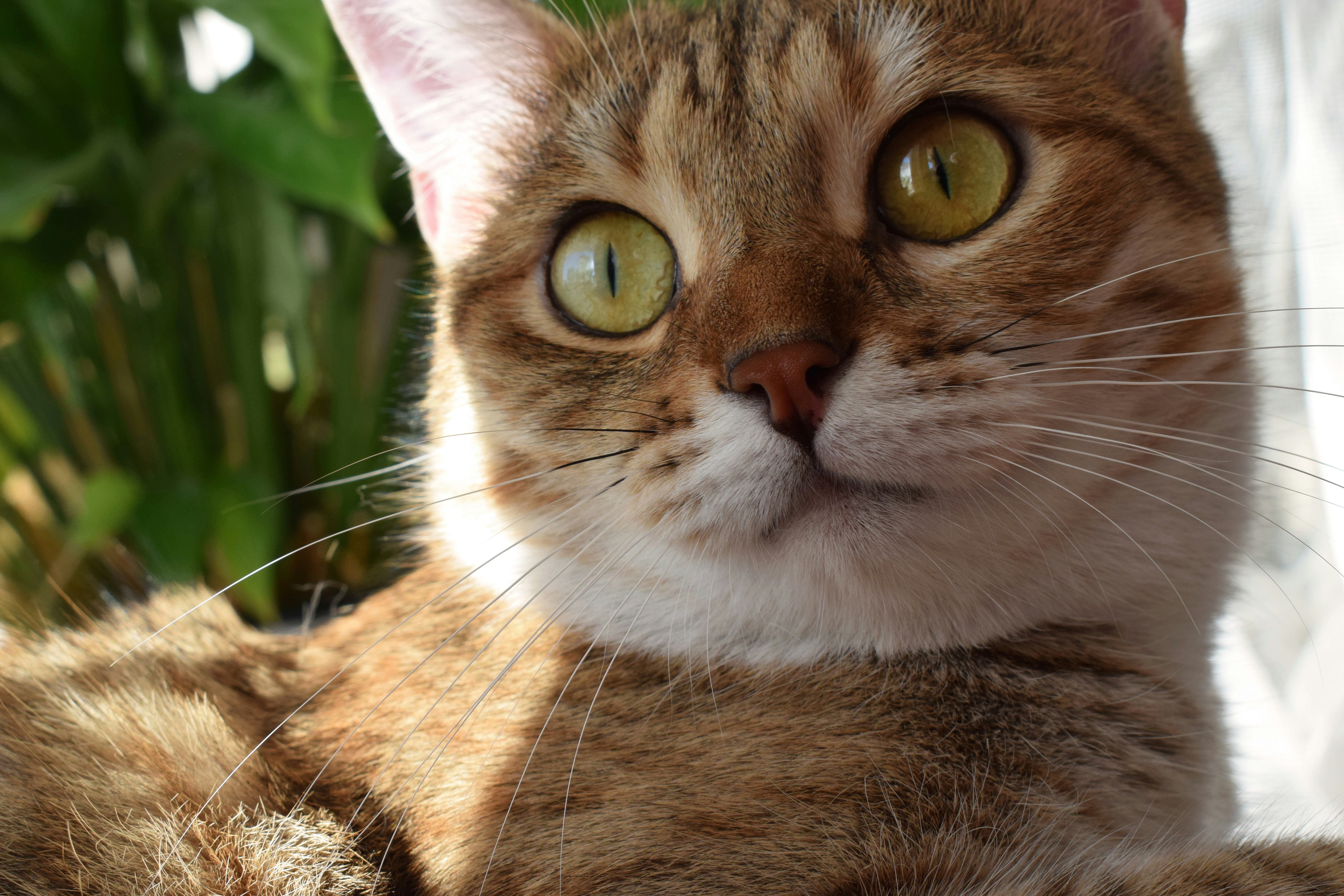 Photo by dimawinterson