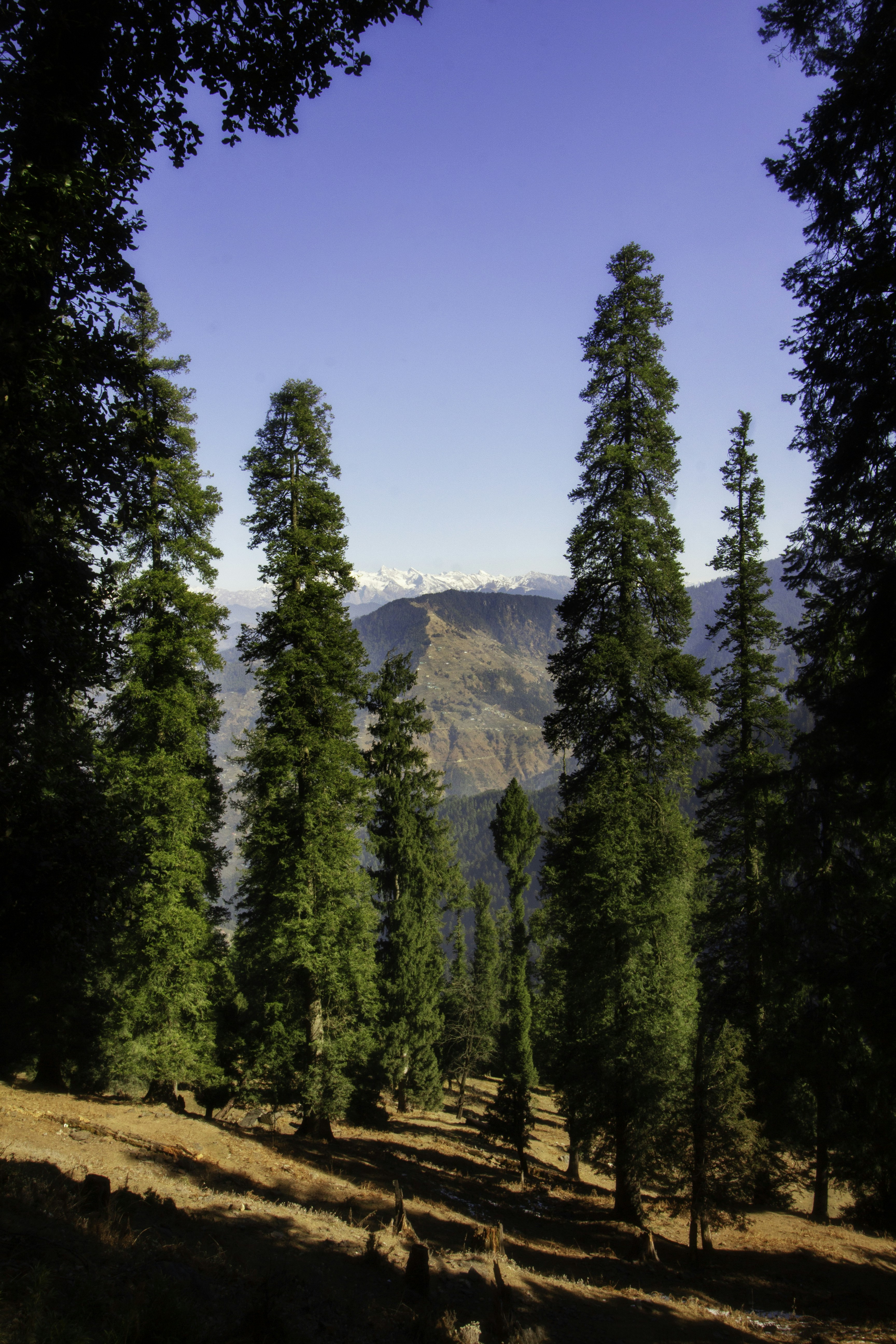 Photo by rohit16dey