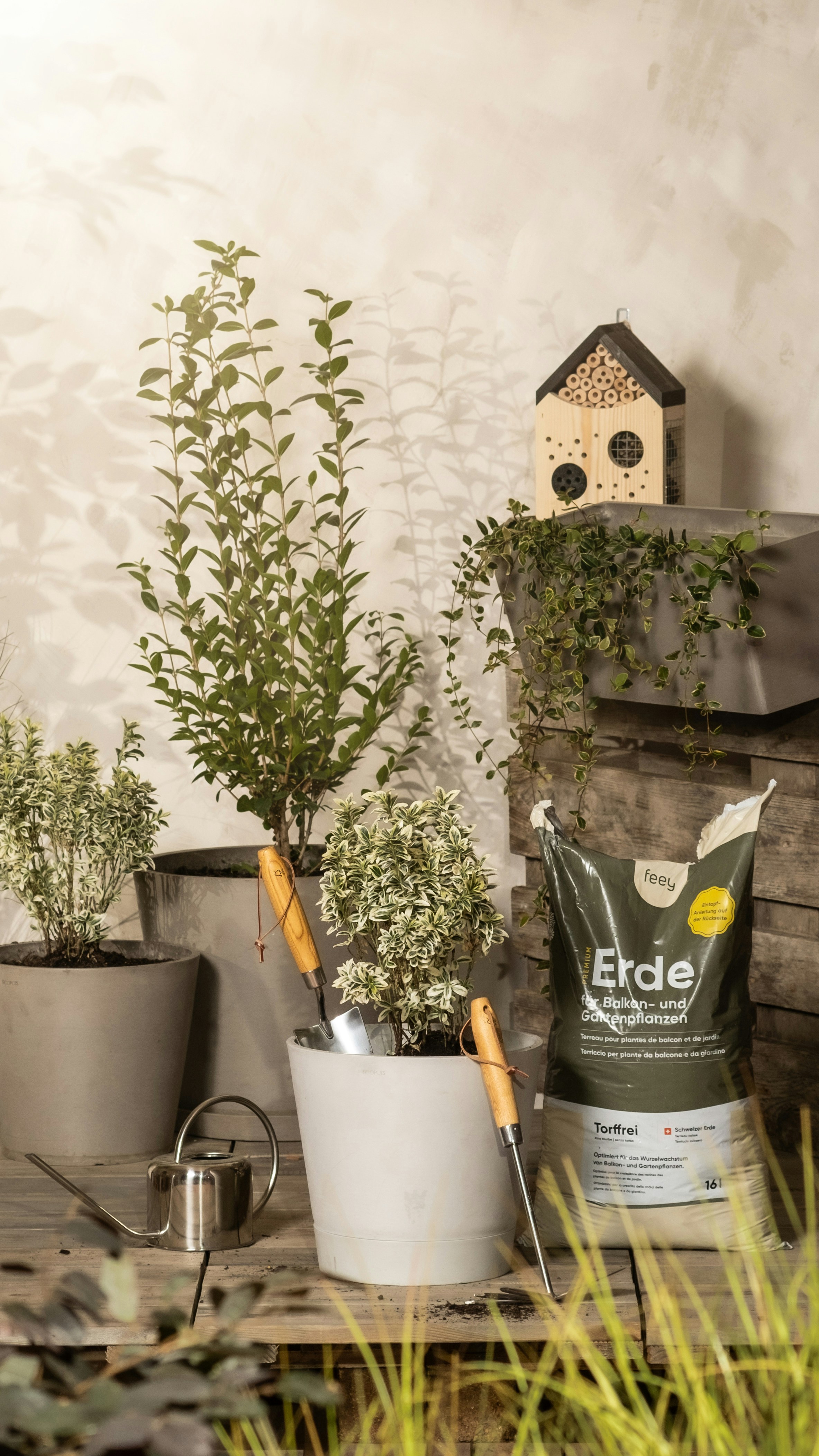 Photo by feeypflanzen