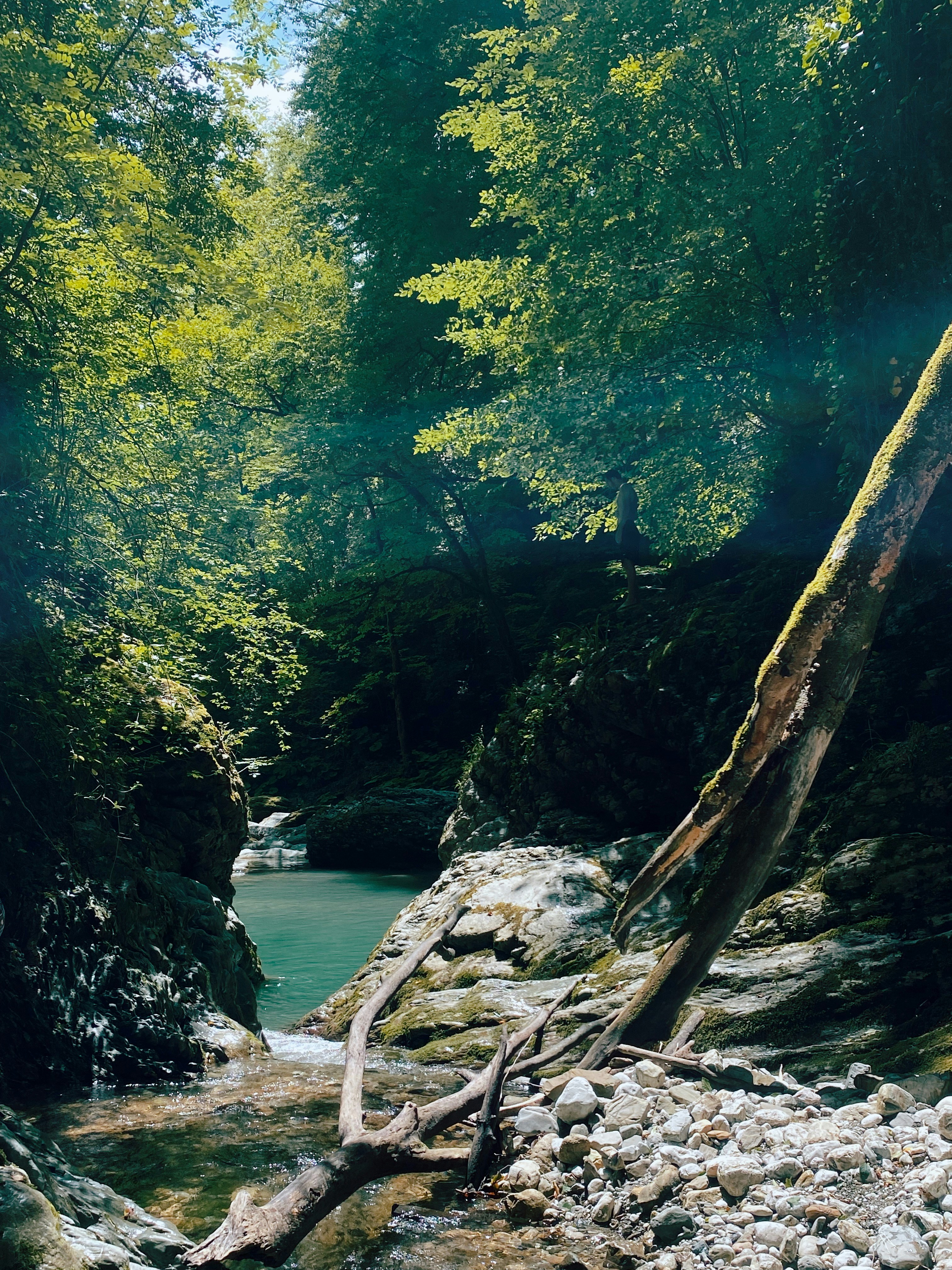 Photo by sasha_reva96