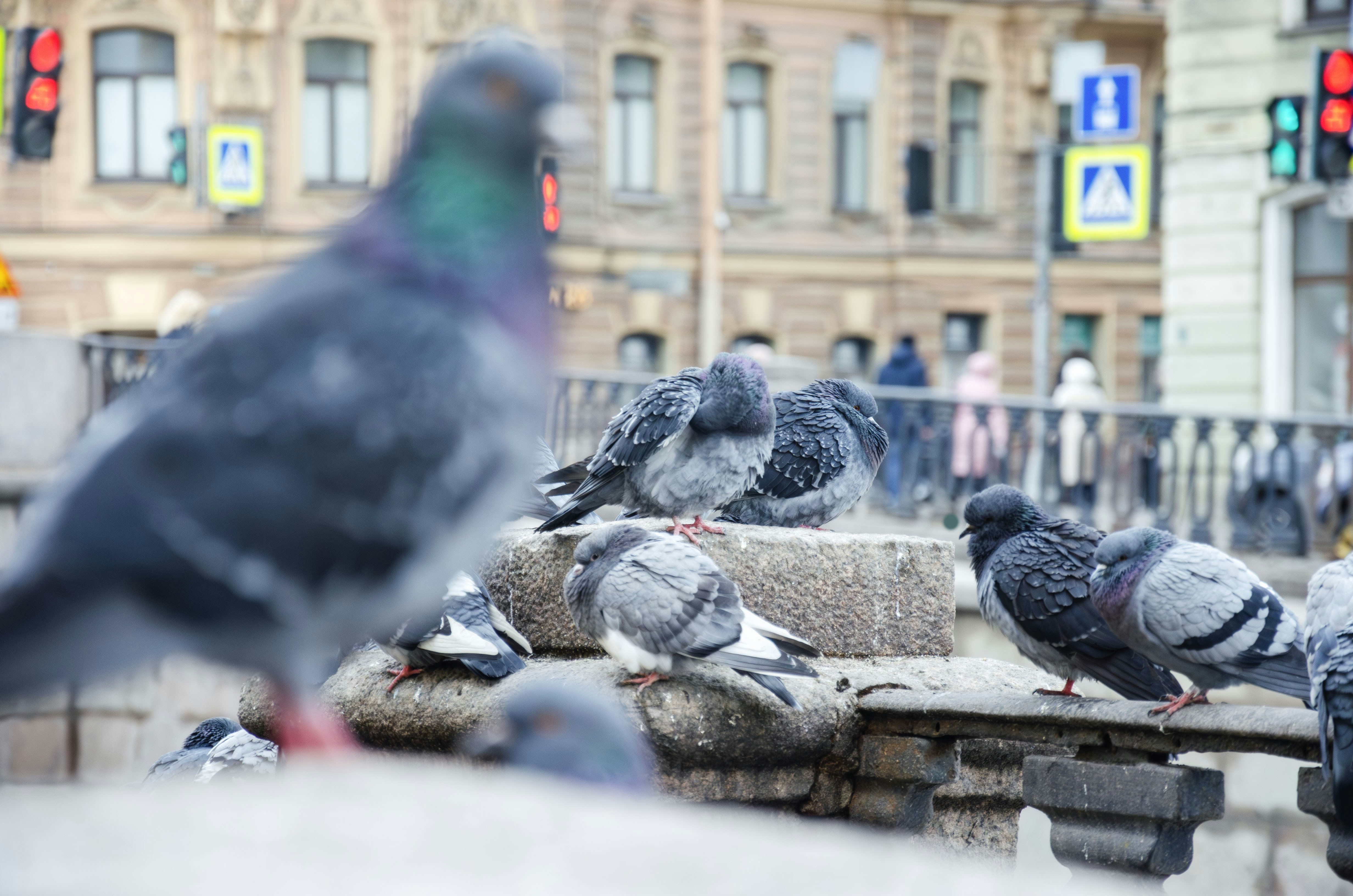 Photo by bogatova