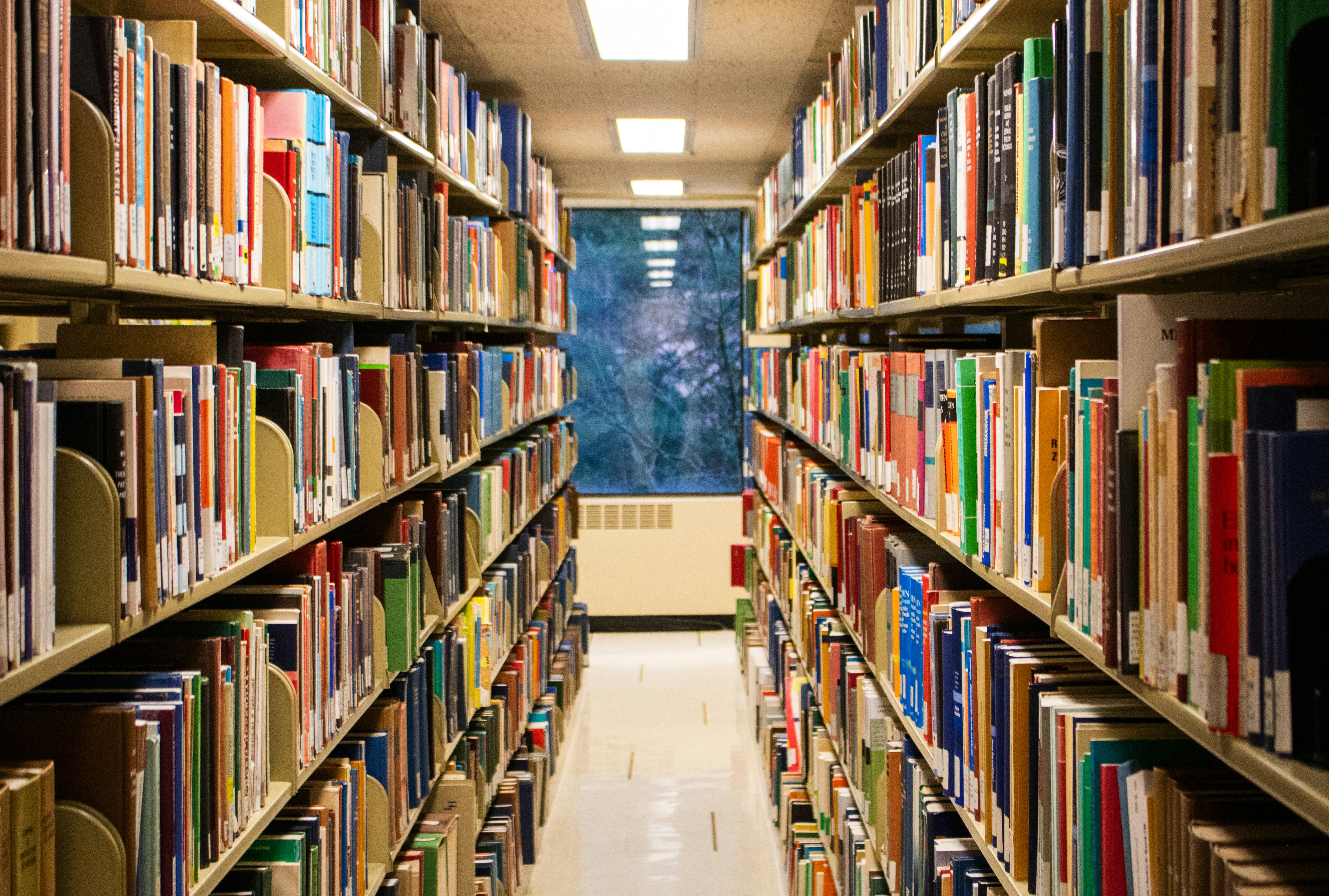 Rows of books in a well-stocked library.