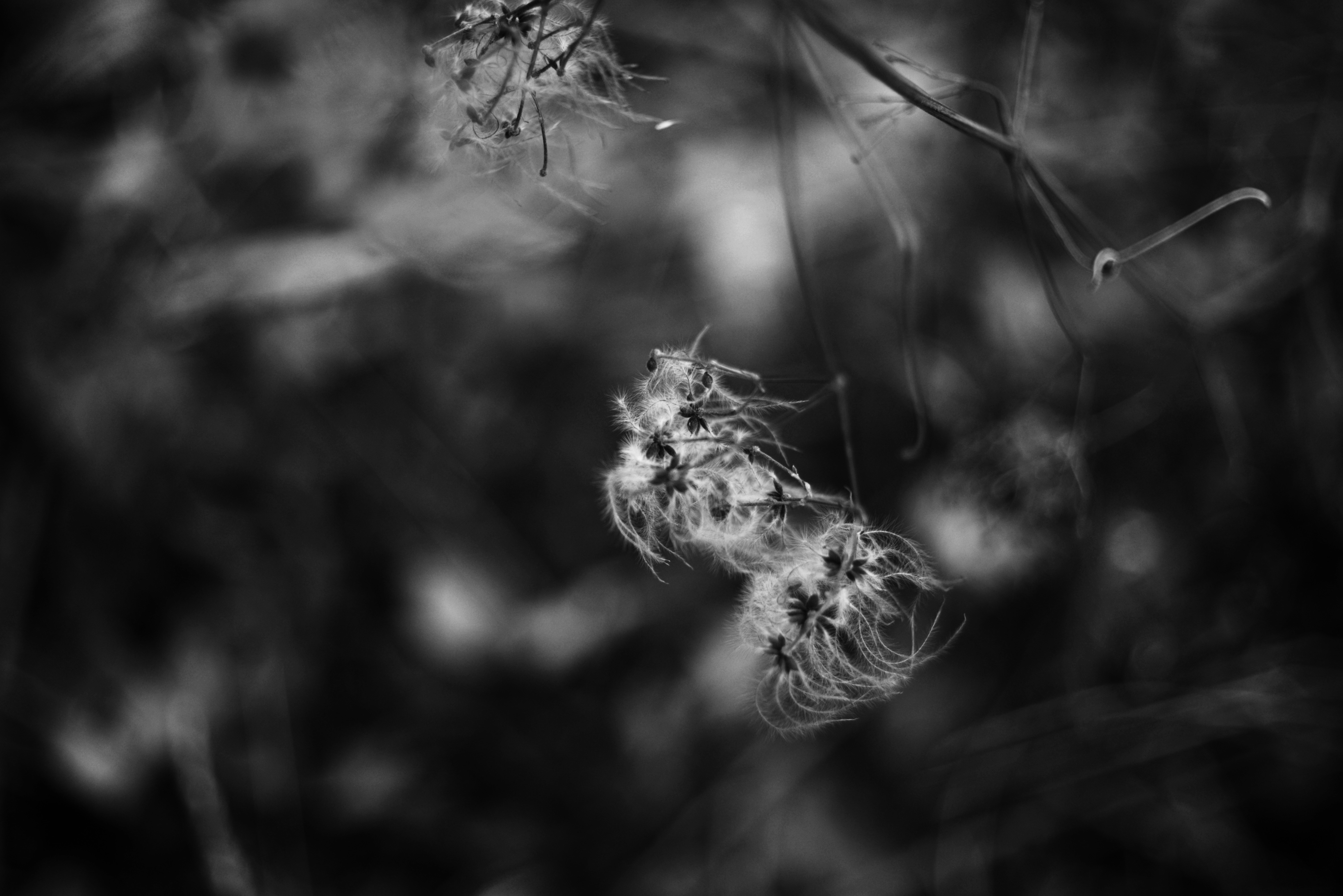 Photo by cherstve_pechivo