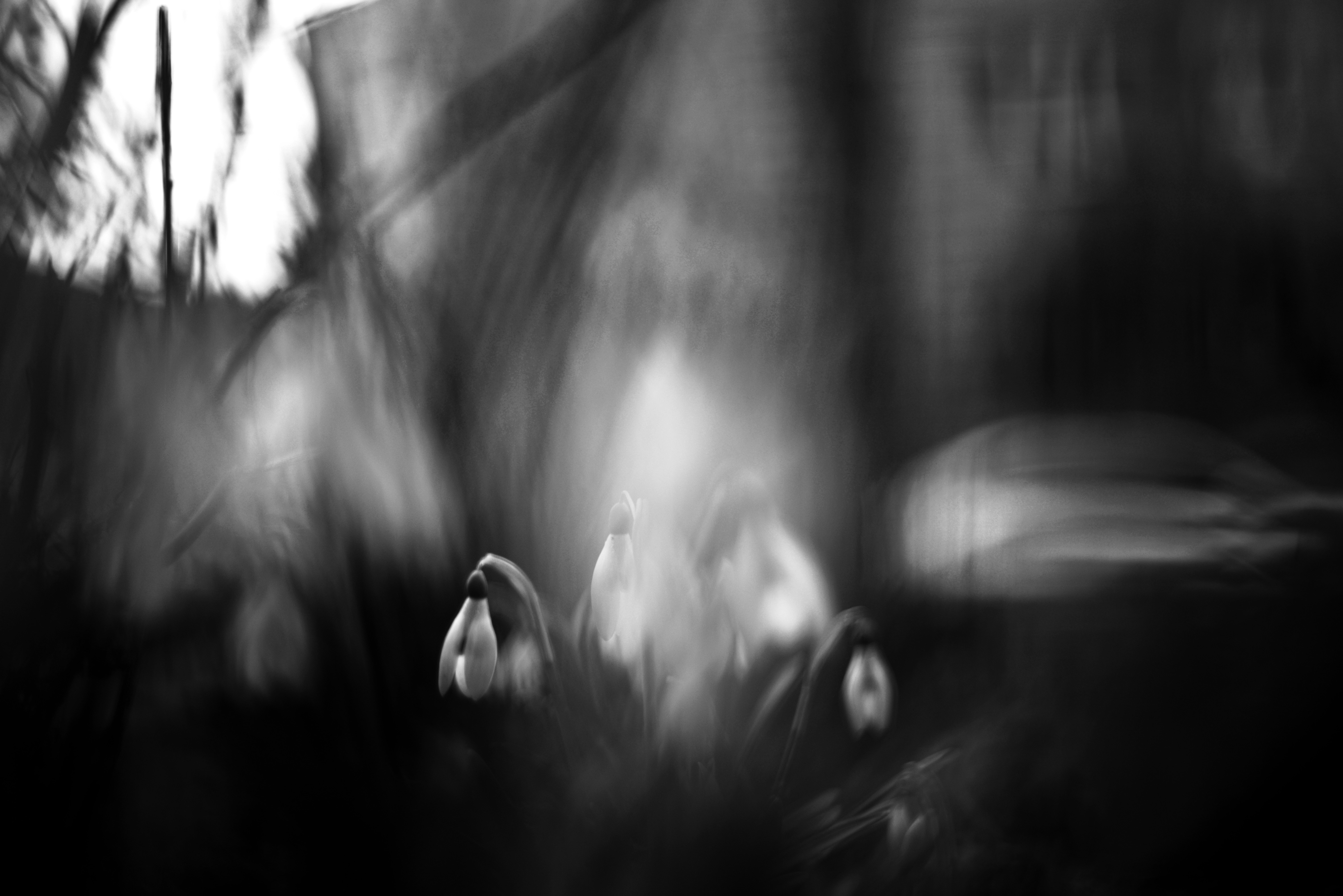 Photo by cherstve_pechivo