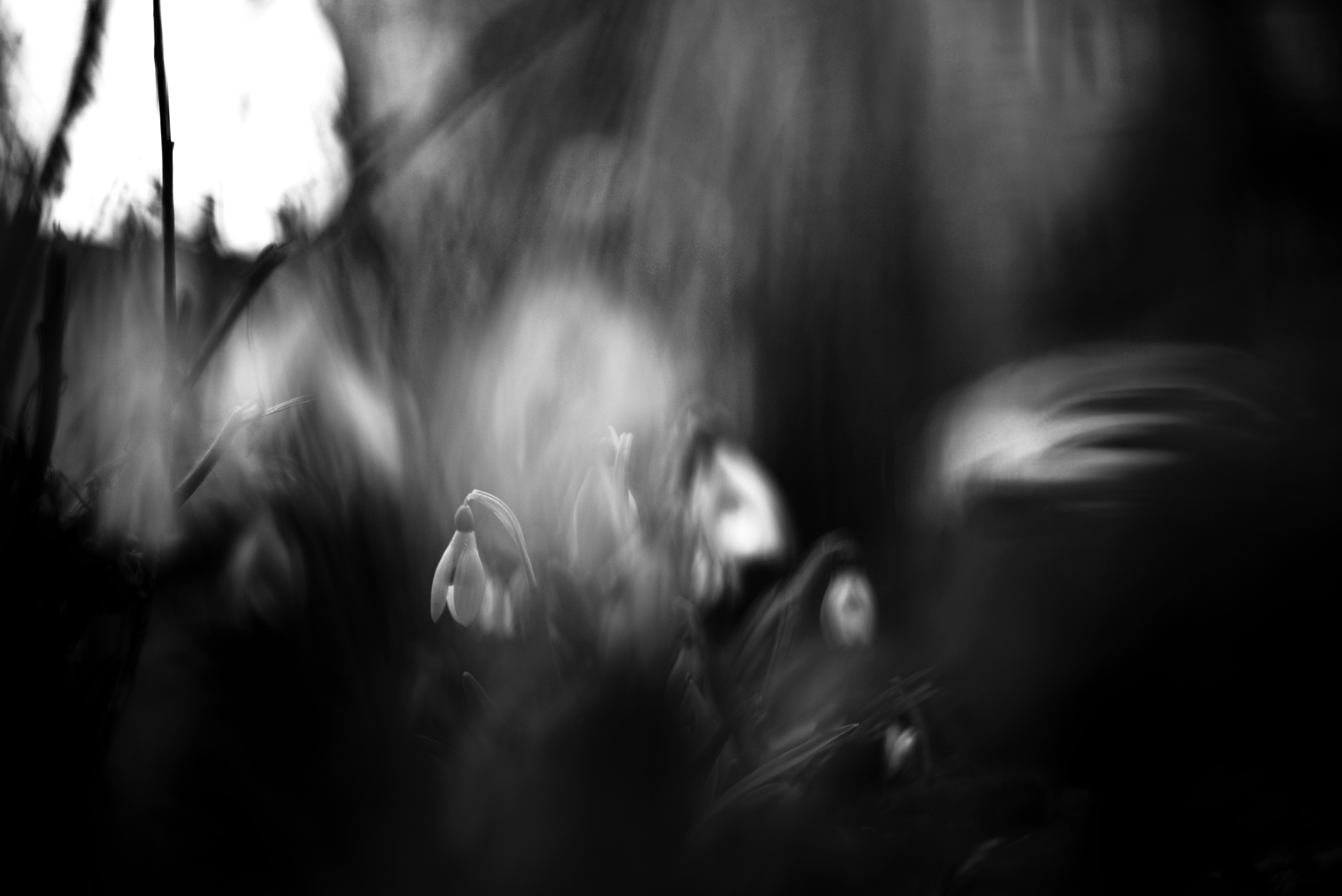 Photo by cherstve_pechivo