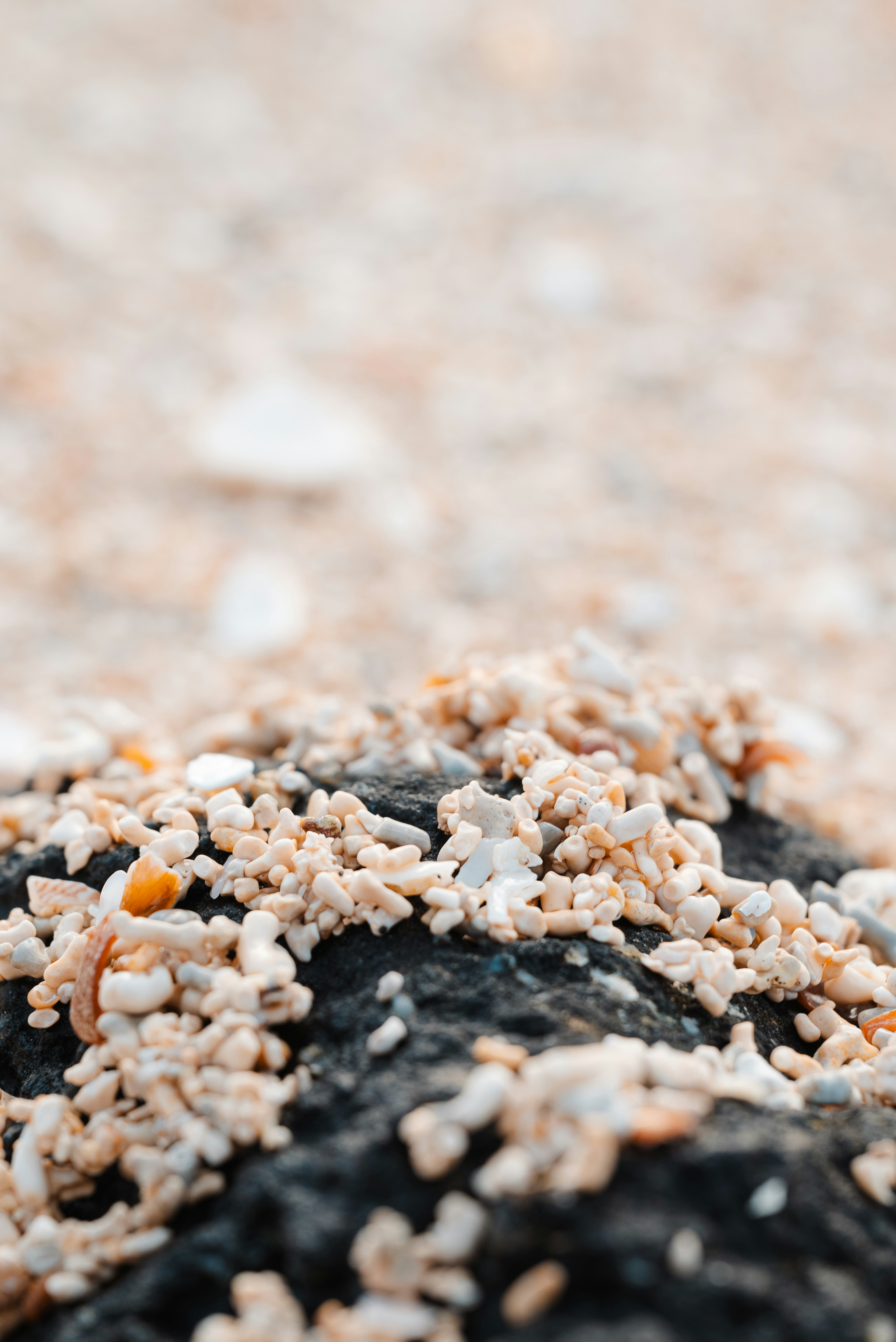 Photo by jetztabertempo