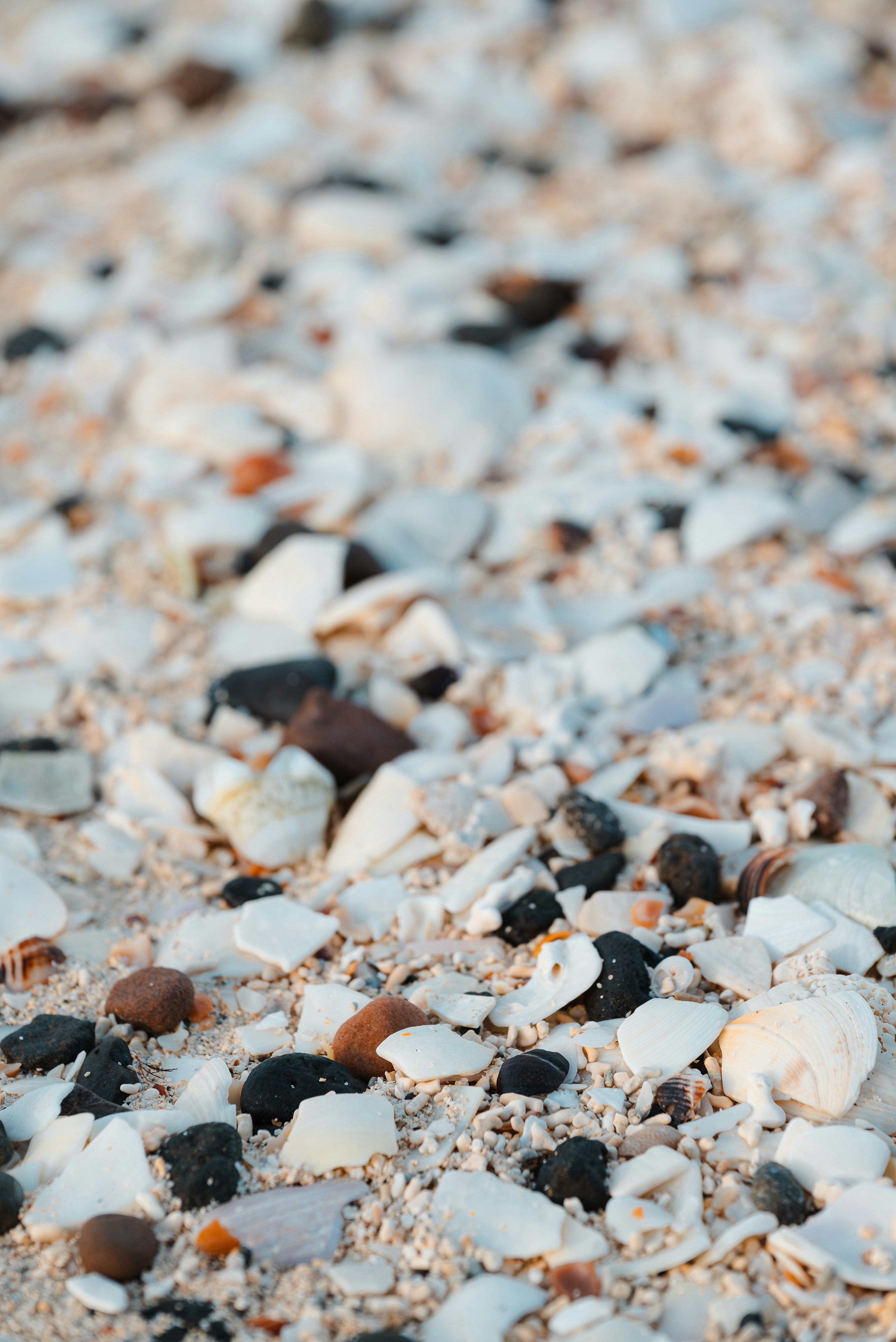 Photo by jetztabertempo