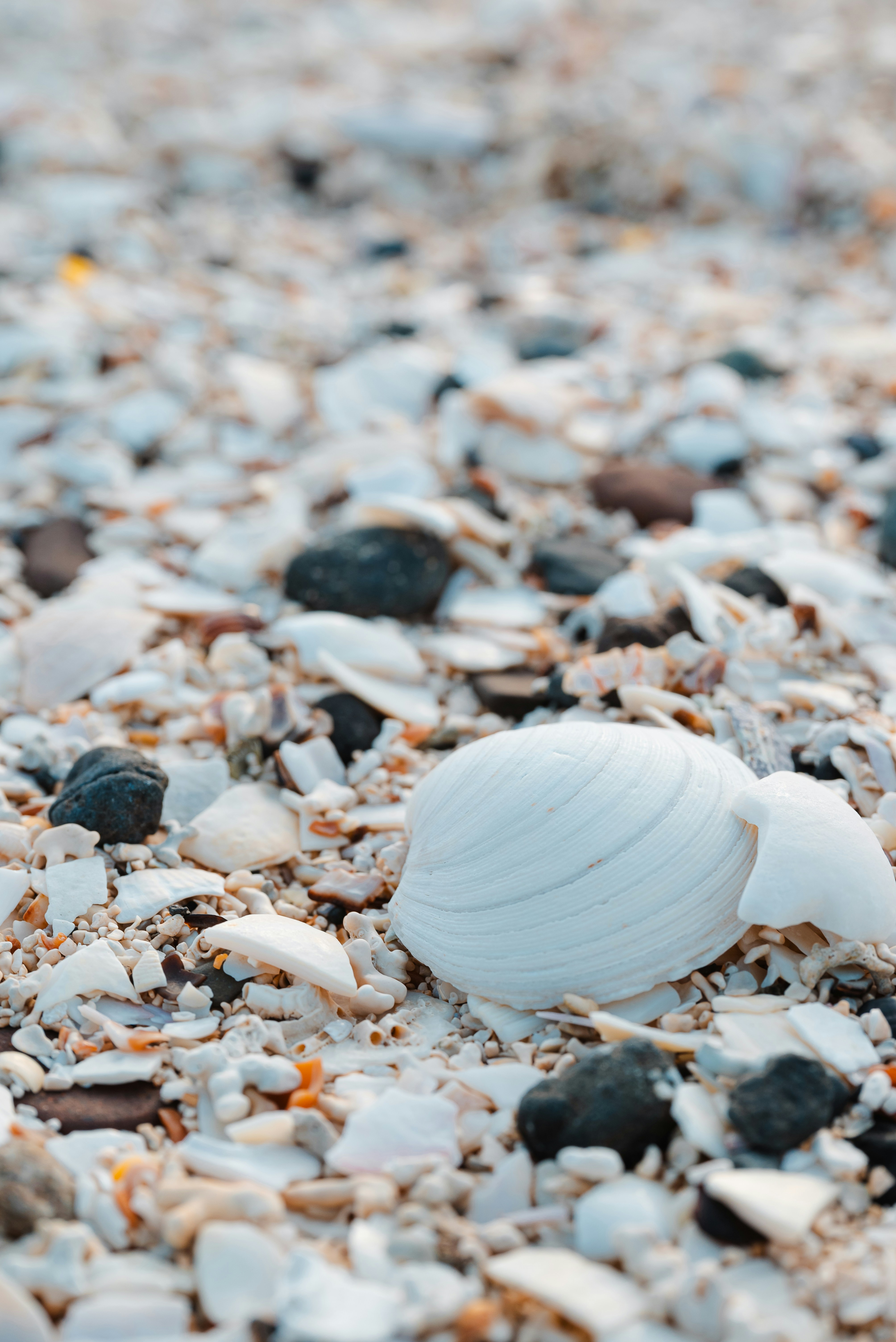 Photo by jetztabertempo