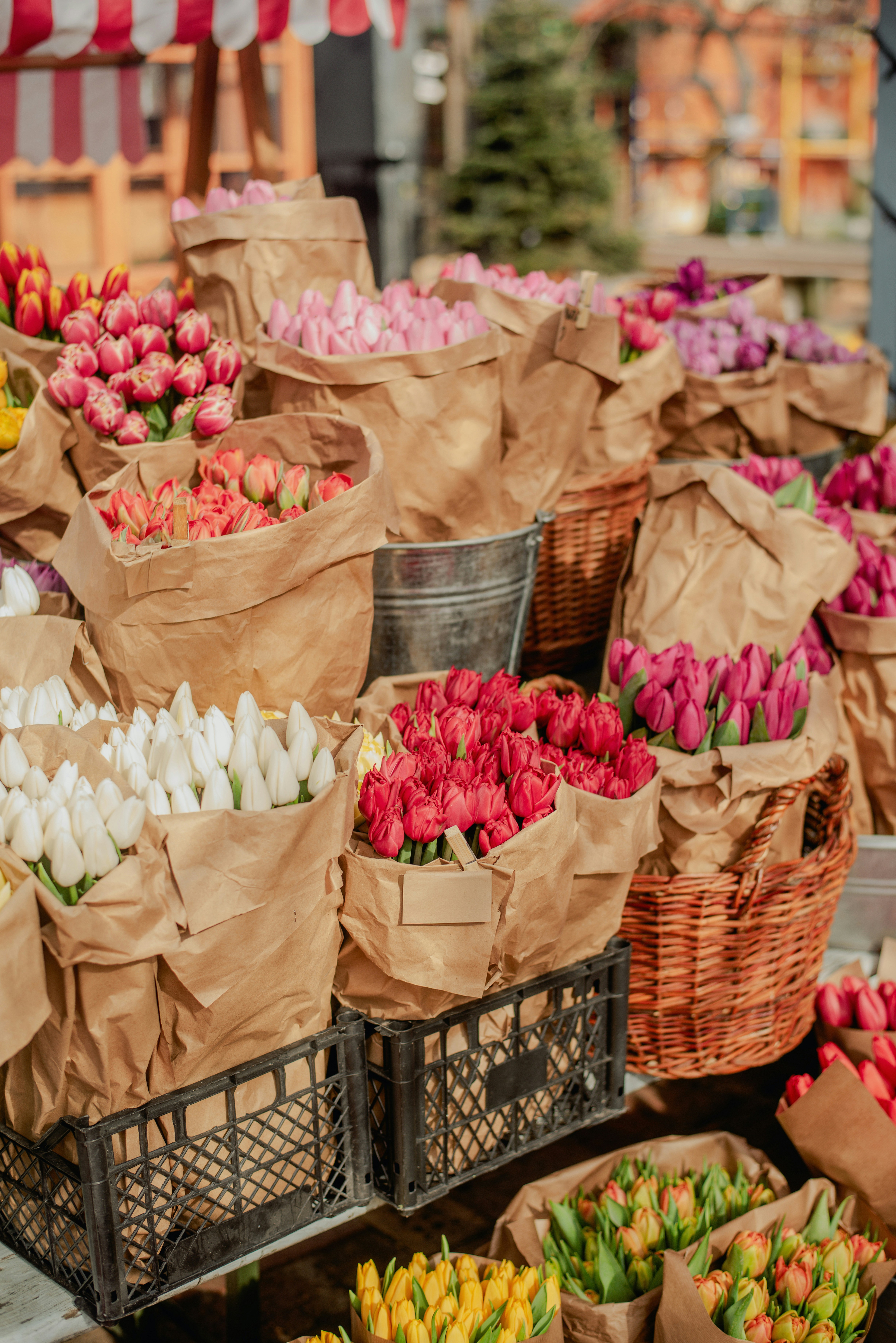 Photo by eugenivy_now