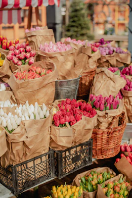 Colorful bouquets of tulips displayed for sale.