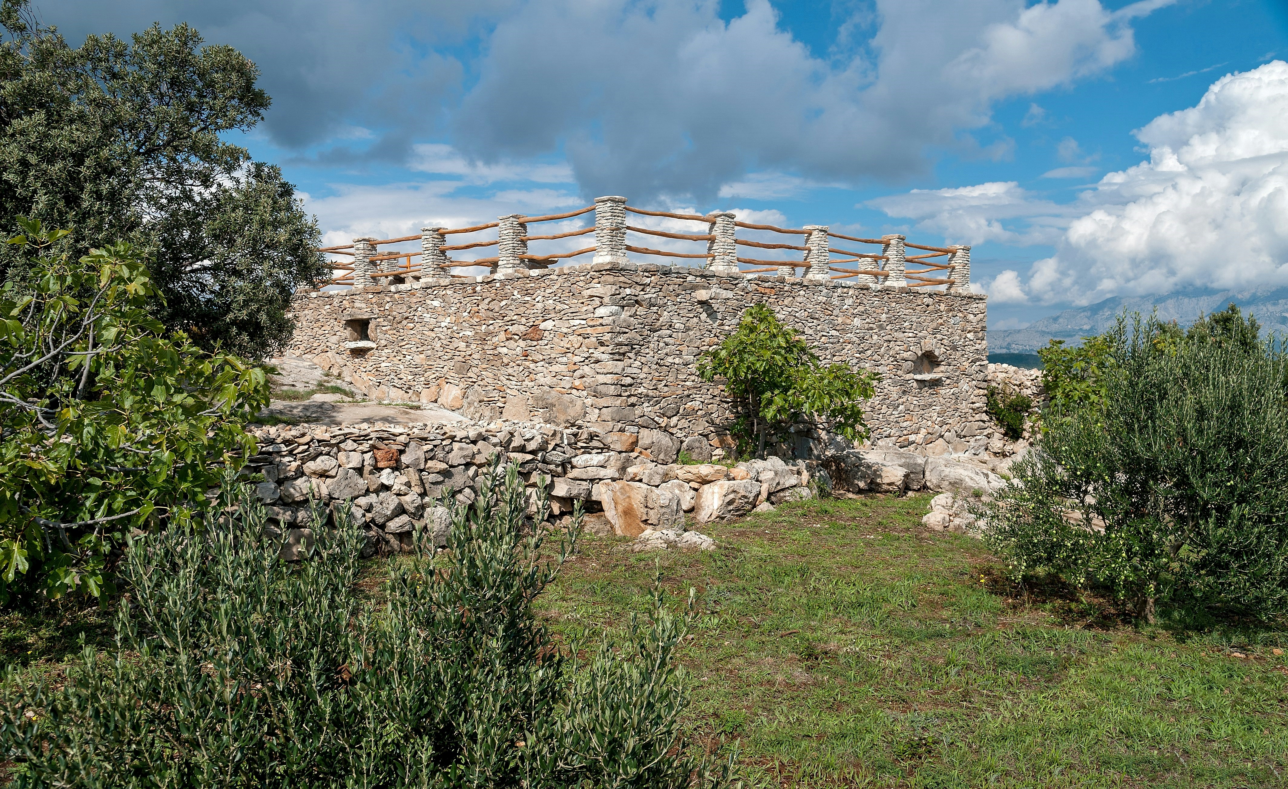 Photo by simpletreefit