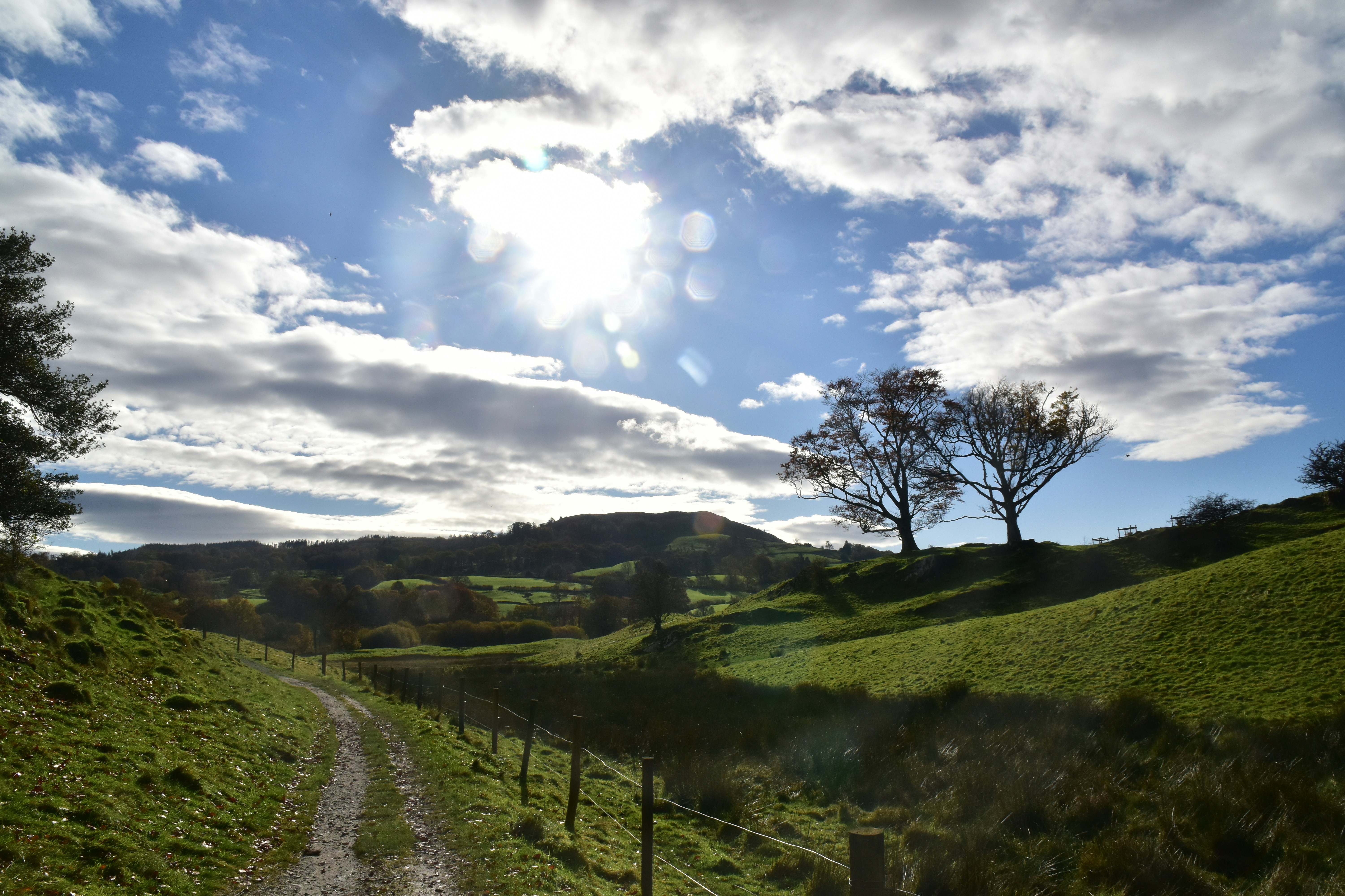 Photo by joshua_a_klabunde