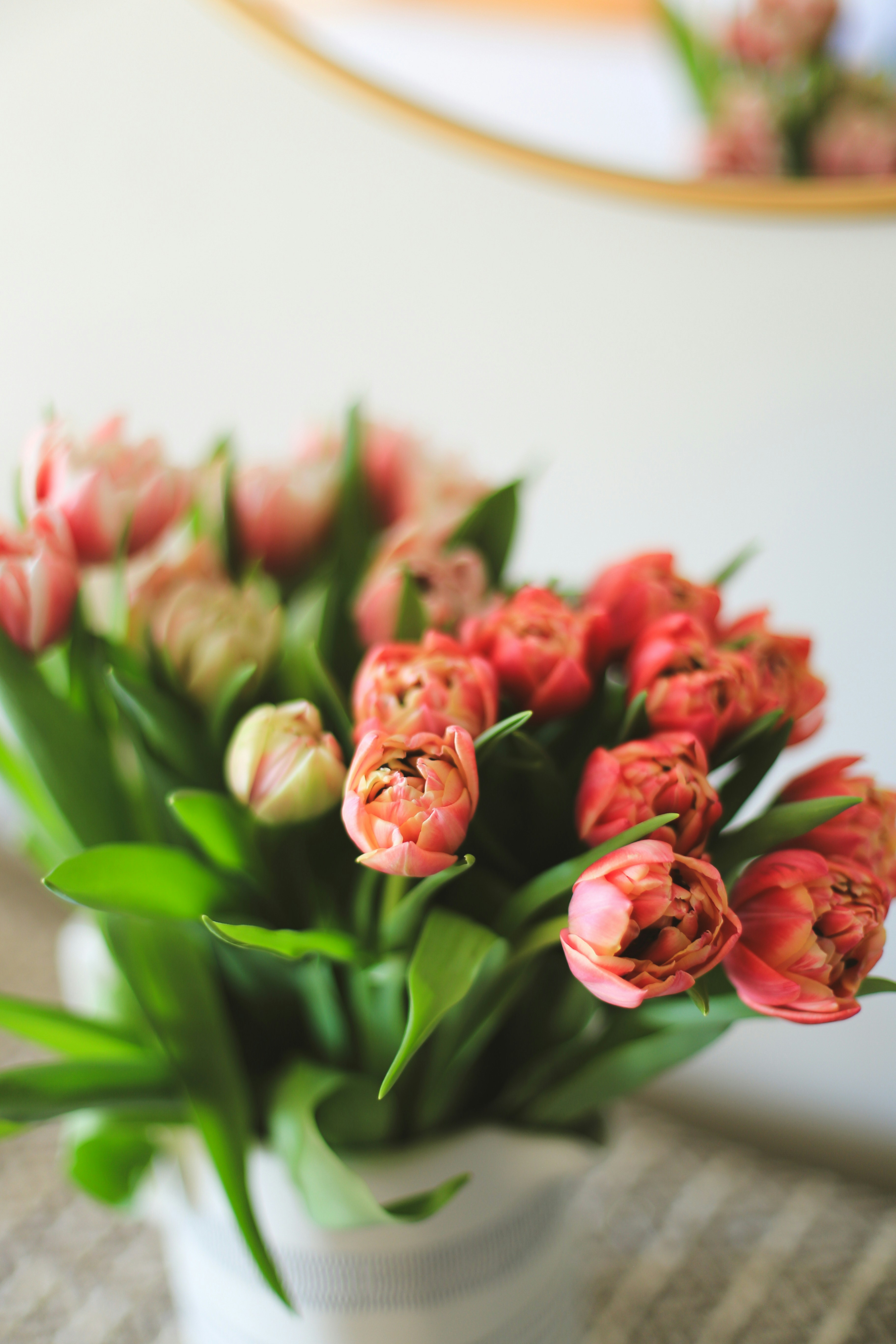 Photo by jessicalfadel