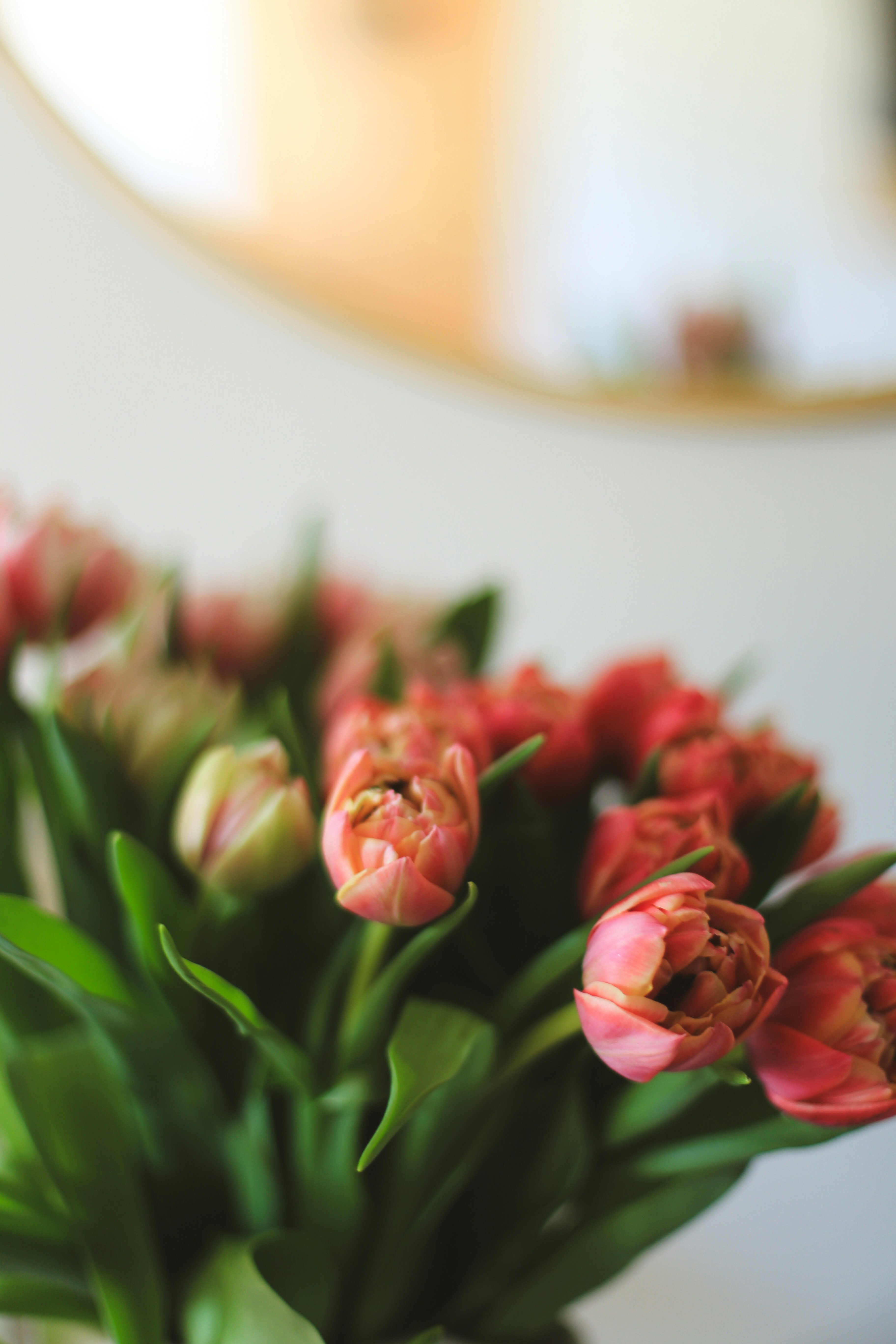 Photo by jessicalfadel