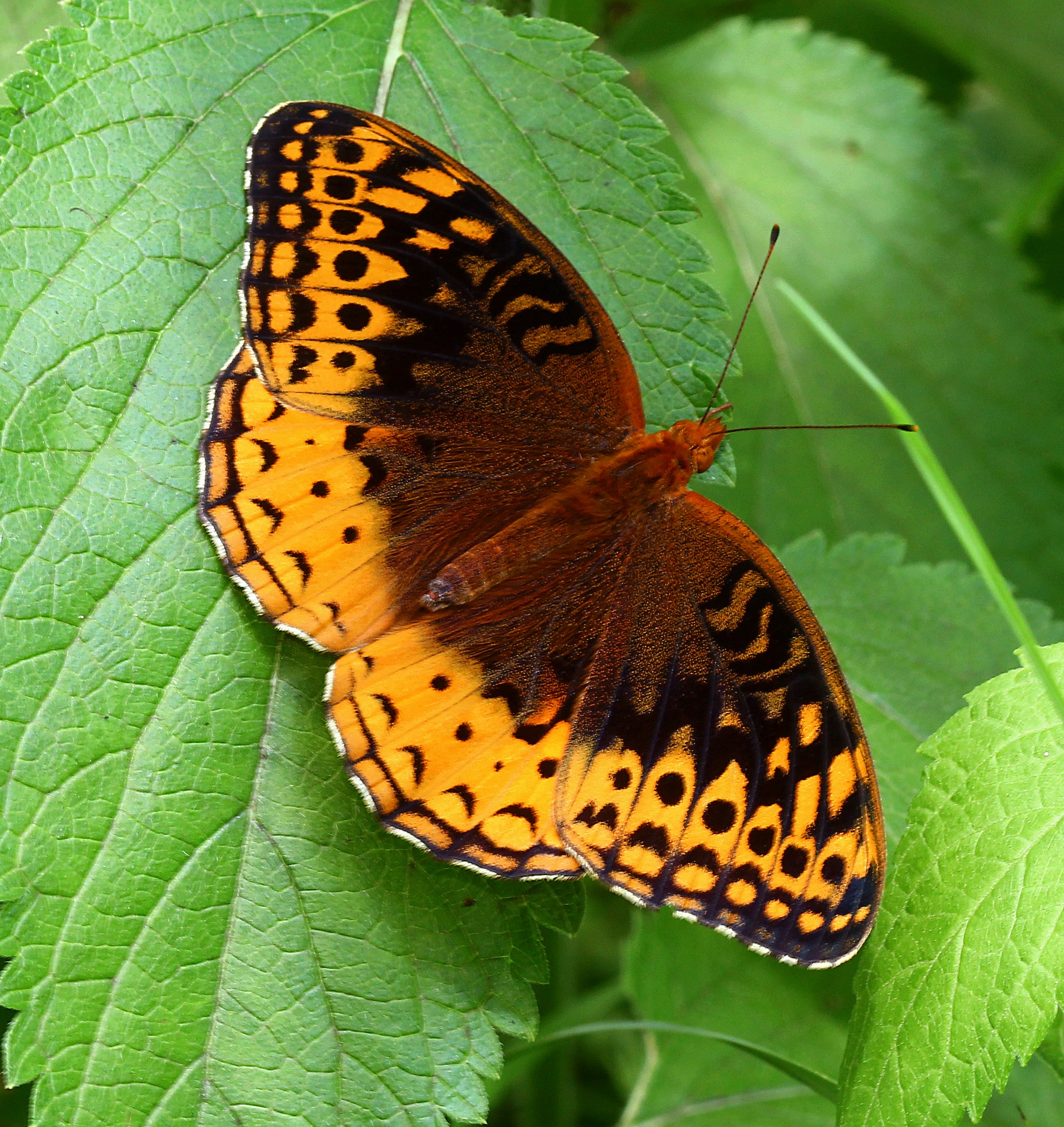 Photo by telliottmbamsc