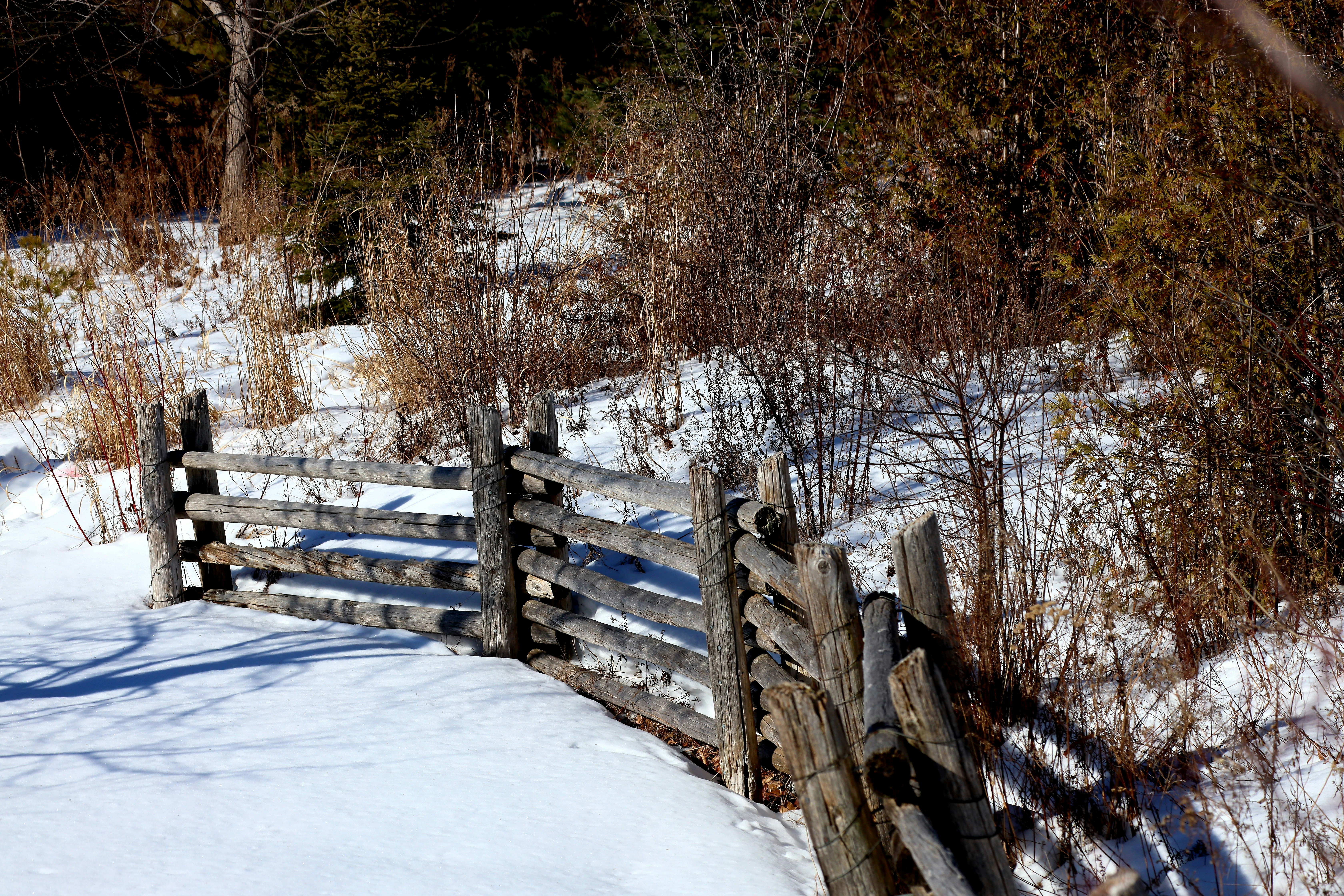 Photo by richardworks