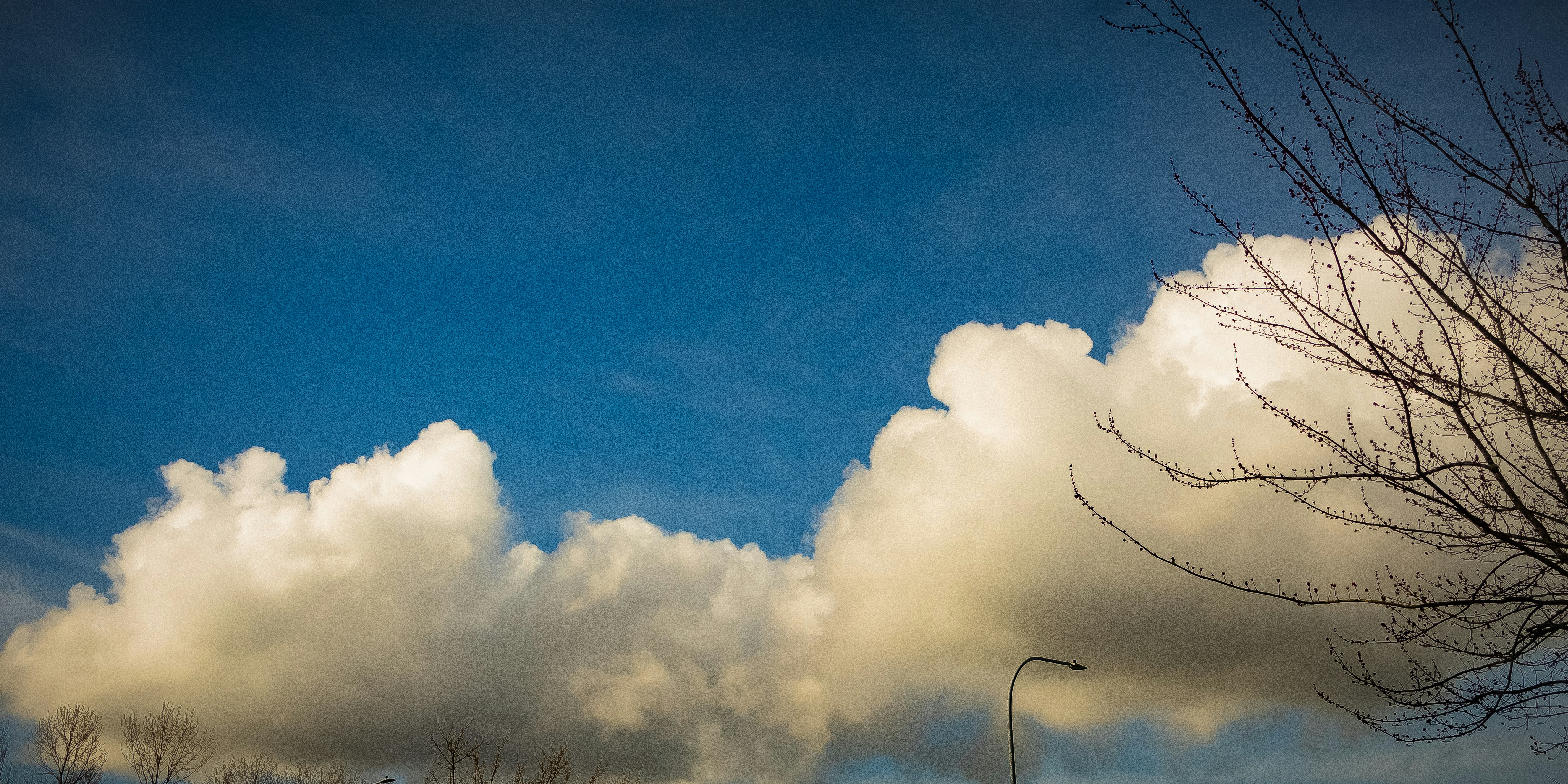 Photo by bladeoftakumi