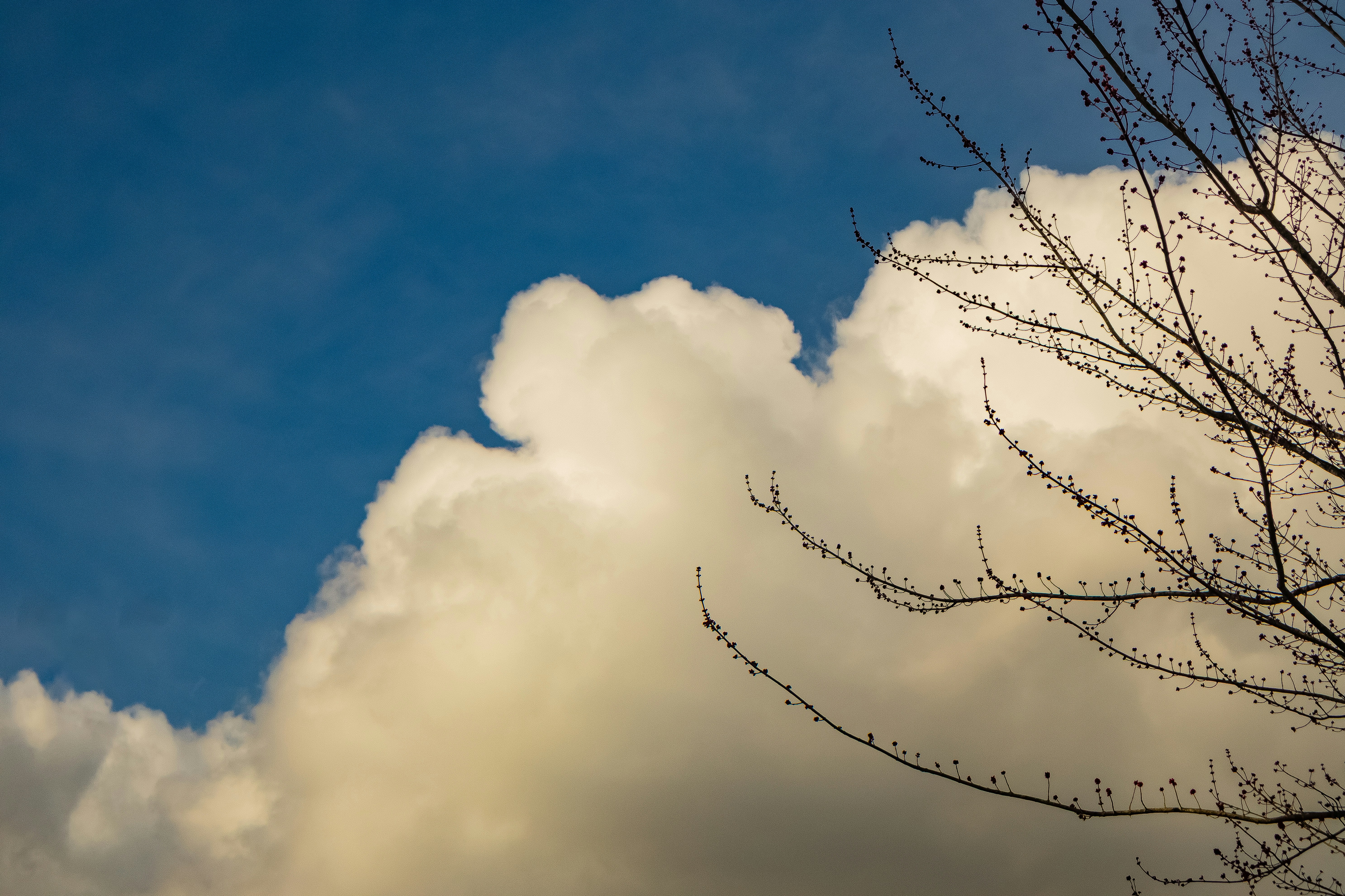 Photo by bladeoftakumi